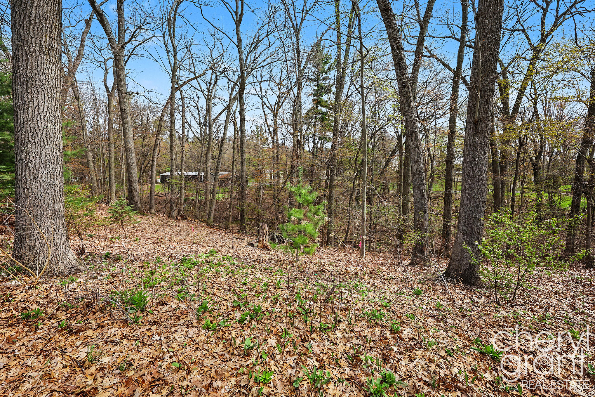 7406 Ravine Drive Northeast Belding, MI 48809 - Photo 3 of 18 Lot