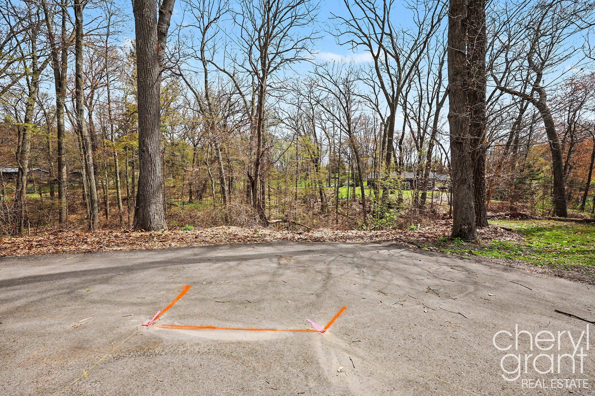 7406 Ravine Drive Northeast Belding, MI 48809 - Photo 4 of 18 Lot