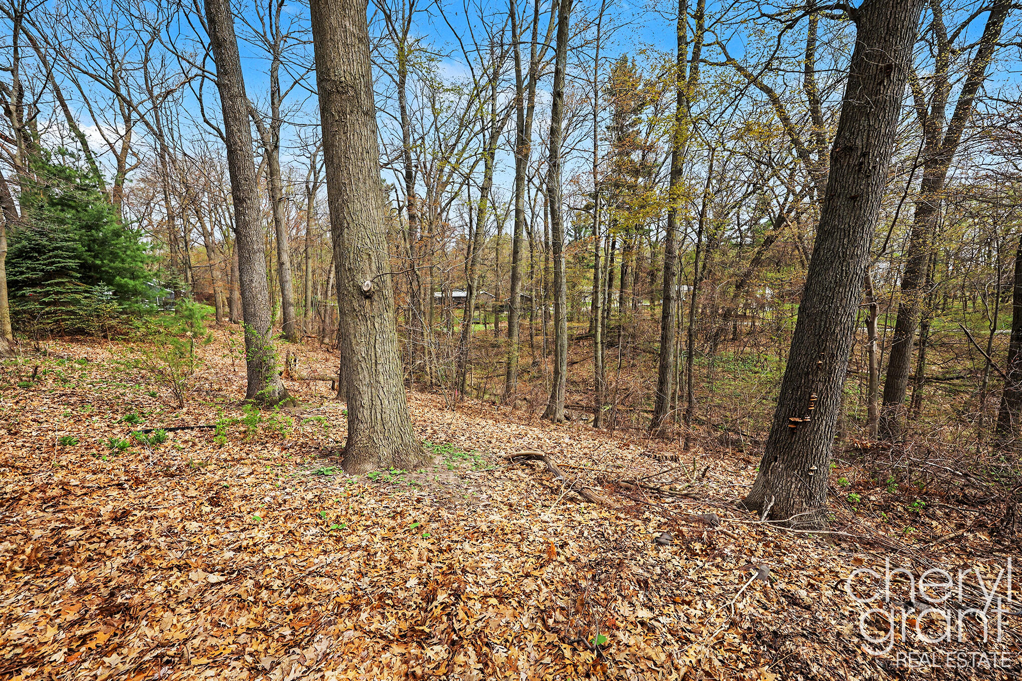 7406 Ravine Drive Northeast Belding, MI 48809 - Photo 5 of 18 Lot