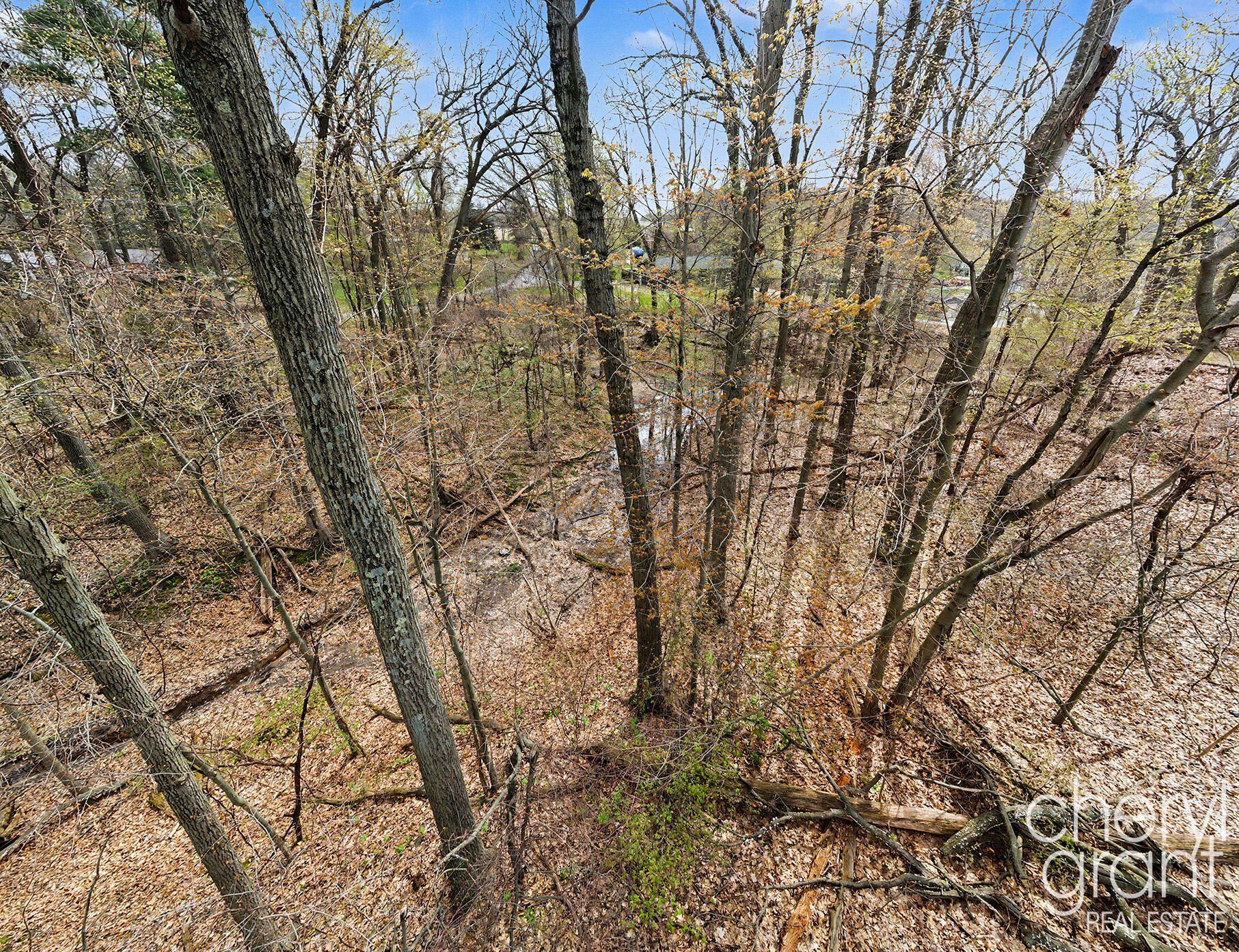 7406 Ravine Drive Northeast Belding, MI 48809 - Photo 6 of 18 Lot