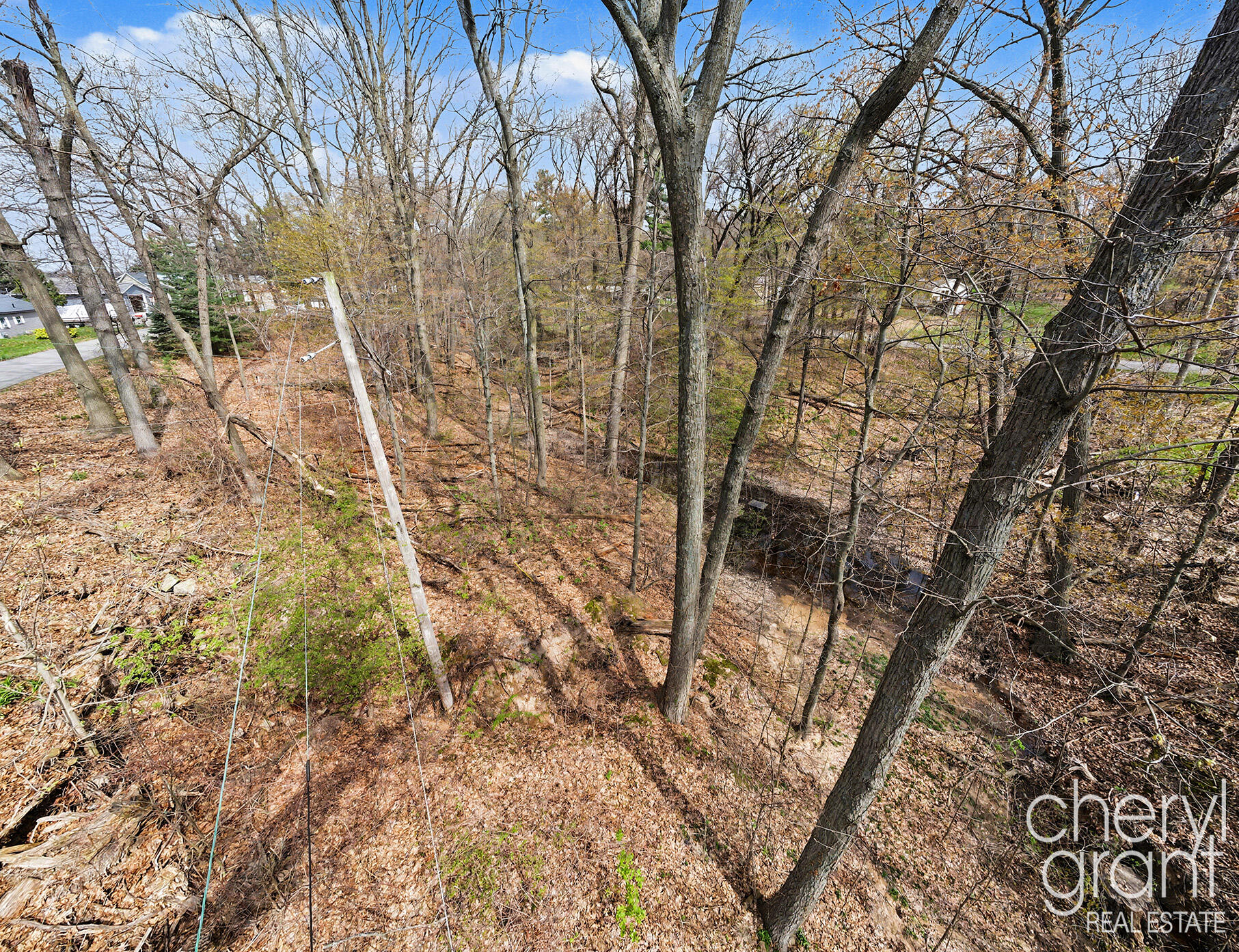7406 Ravine Drive Northeast Belding, MI 48809 - Photo 7 of 18 Lot