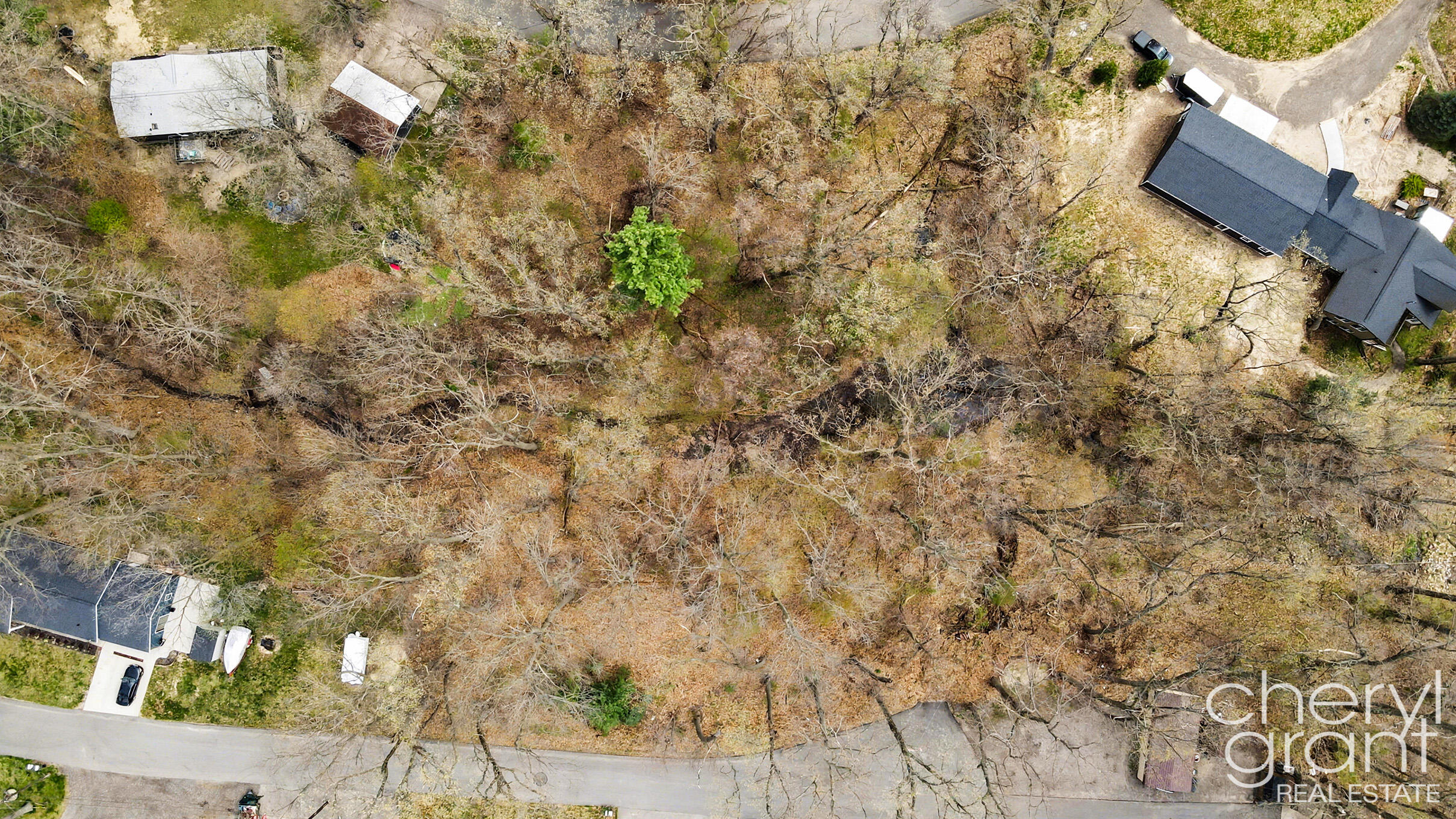 7406 Ravine Drive Northeast Belding, MI 48809 - Photo 10 of 18 Aerial