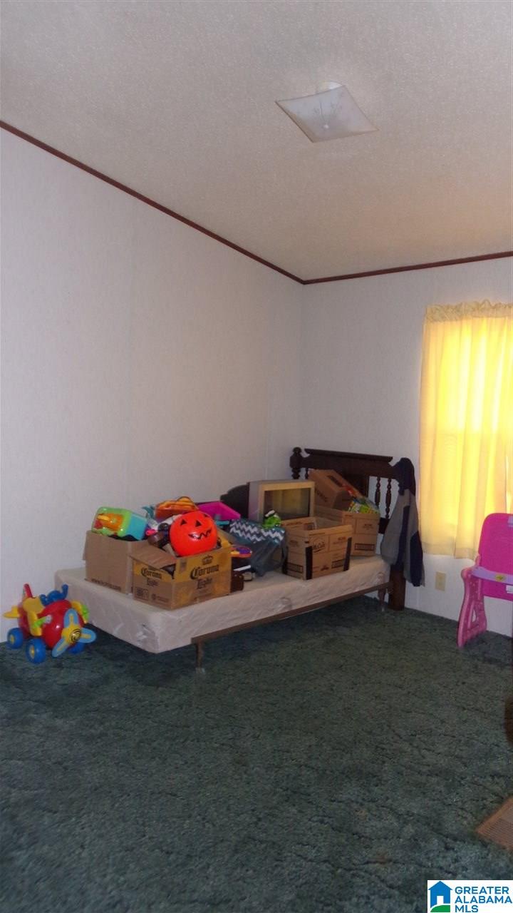 22125 Eastern Valley Road McCalla, AL 35111 - Photo 24 of 39