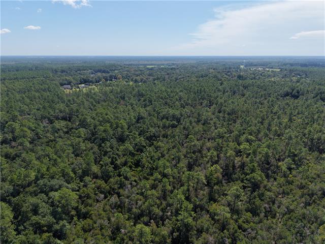 0 Rayford Shumock Road Moss Point, MS 39562 - Photo 39 of 40 Gallery Image 39