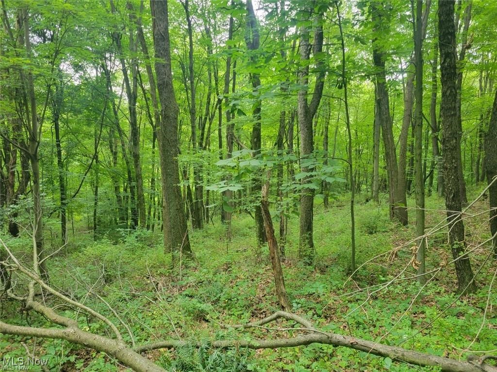 St Peters Church Road Bolivar, OH 44612 - Photo 1 of 1 Gallery Image 1