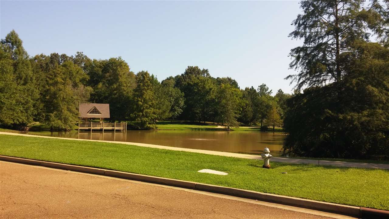 113 Springmeade Road Clinton, MS 39056 - Photo 26 of 28 Photo 29