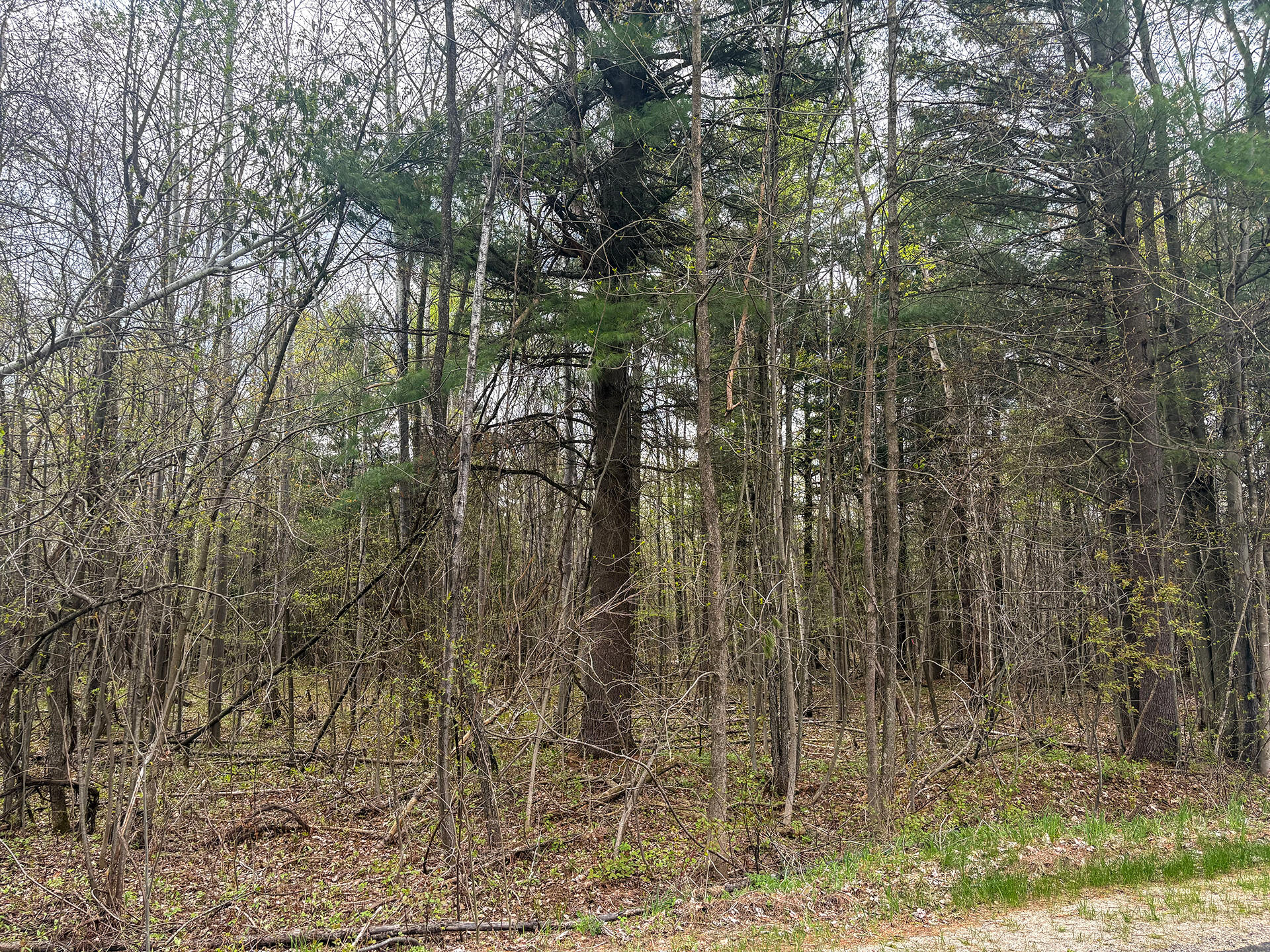 0 Callahan Road Burke, NY 12917 - Photo 8 of 14