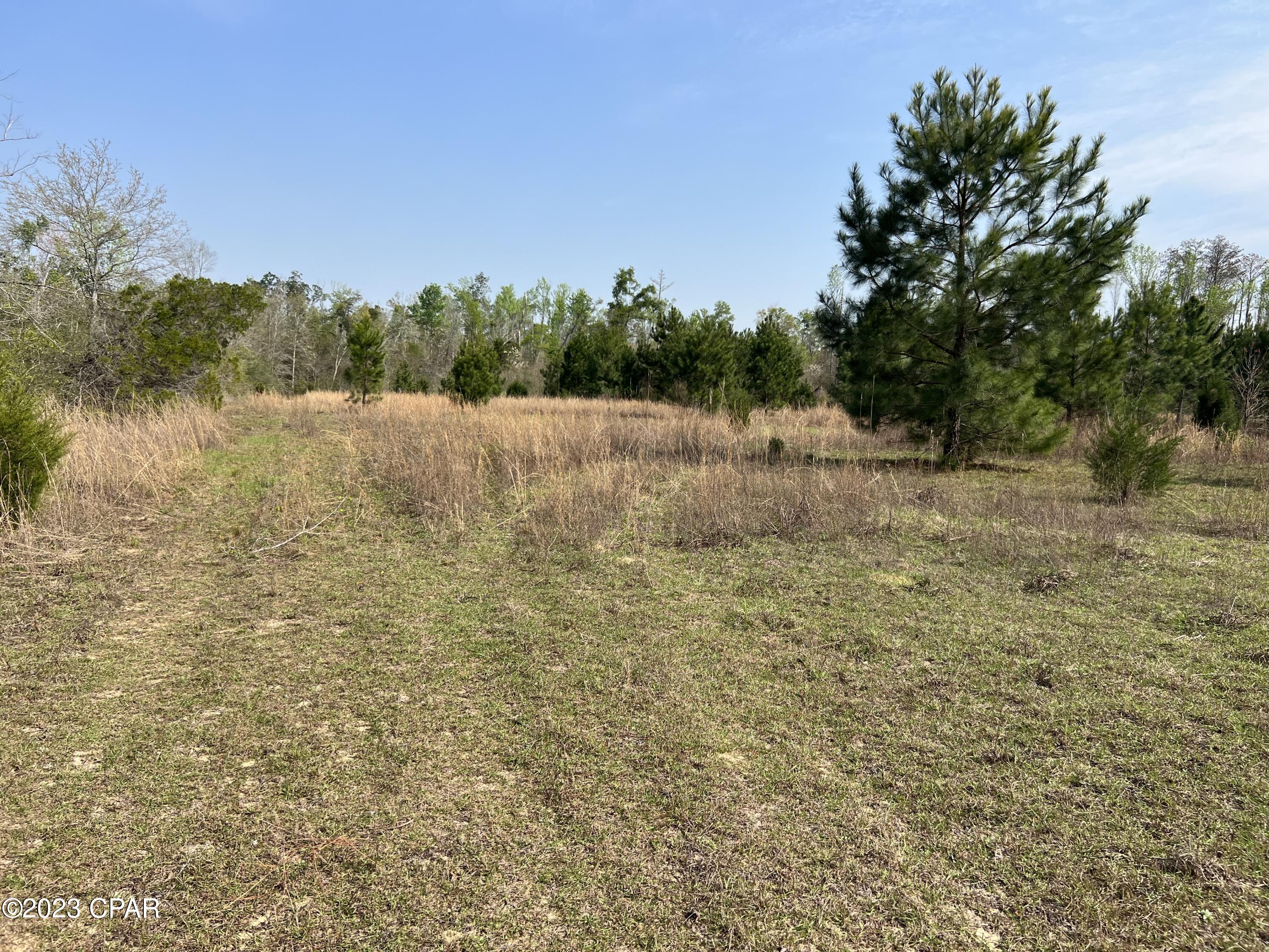 0 Eagle Trail Alford, FL 32420 - Photo 2 of 14 Gallery Image 2