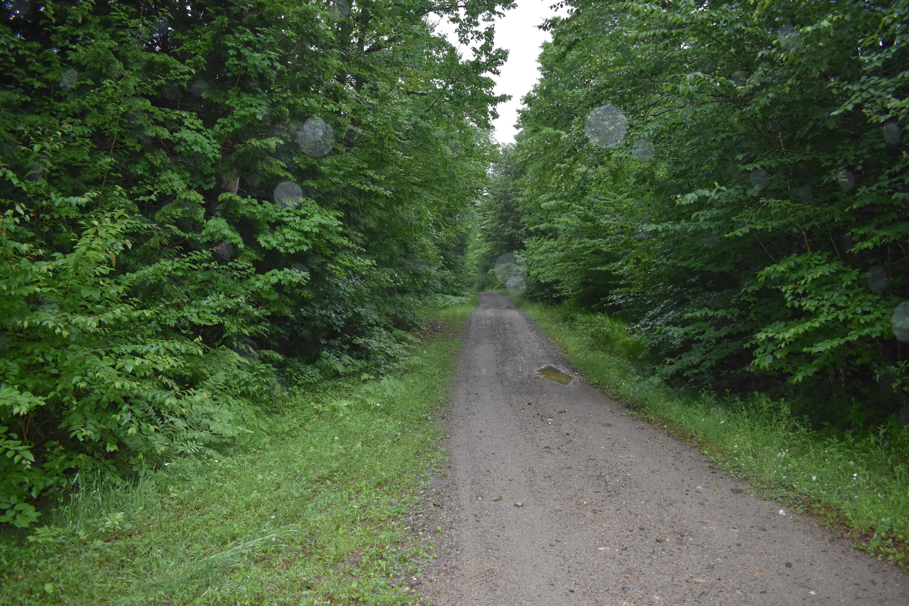 Tbd Tbd Old South Road Lee, ME 04455 - Photo 8 of 12 DSC_0495