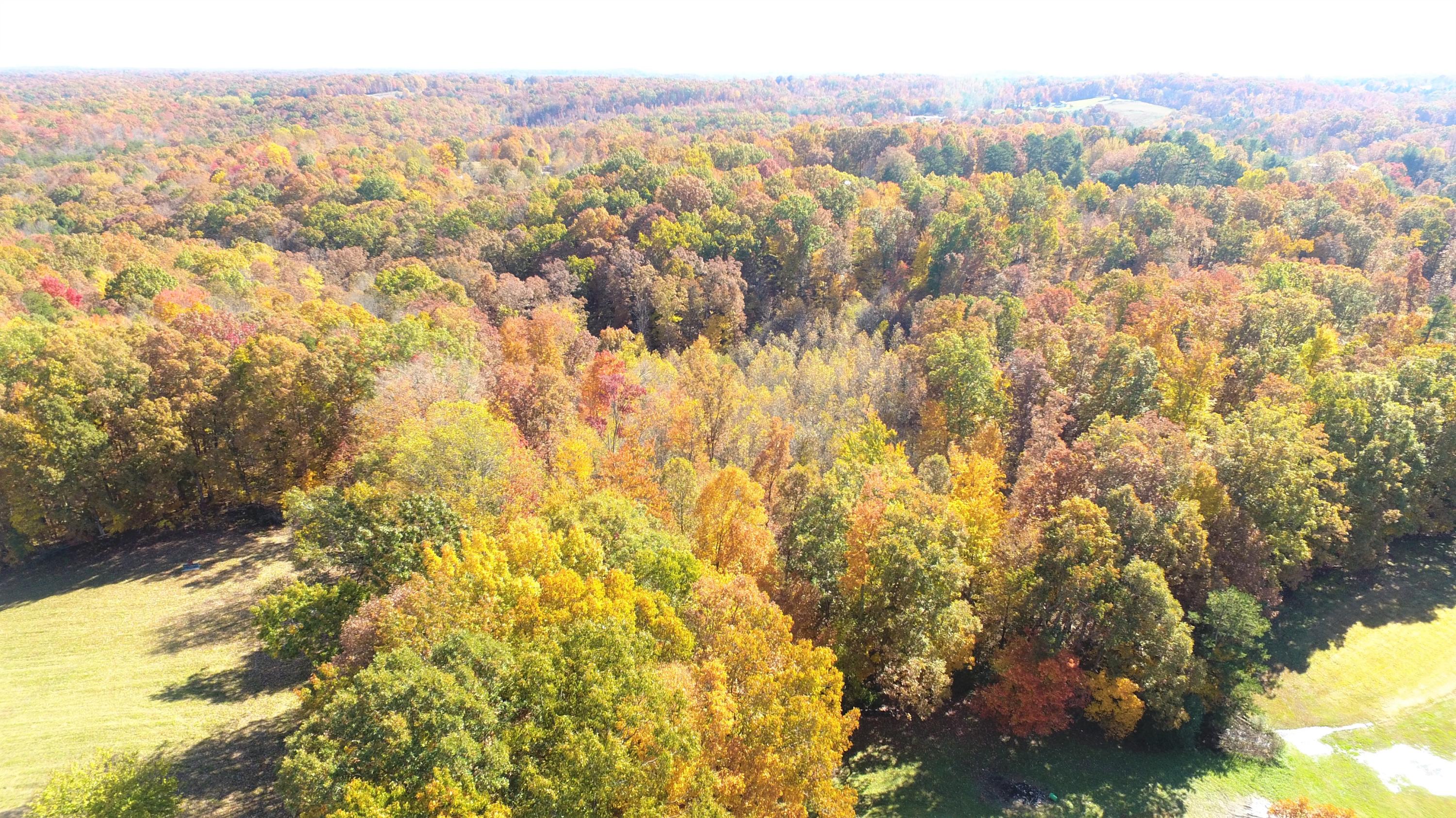 354 Billy Ridge Road Jamestown, TN 38556 - Photo 3 of 25 Aerial of Billy Ridge land