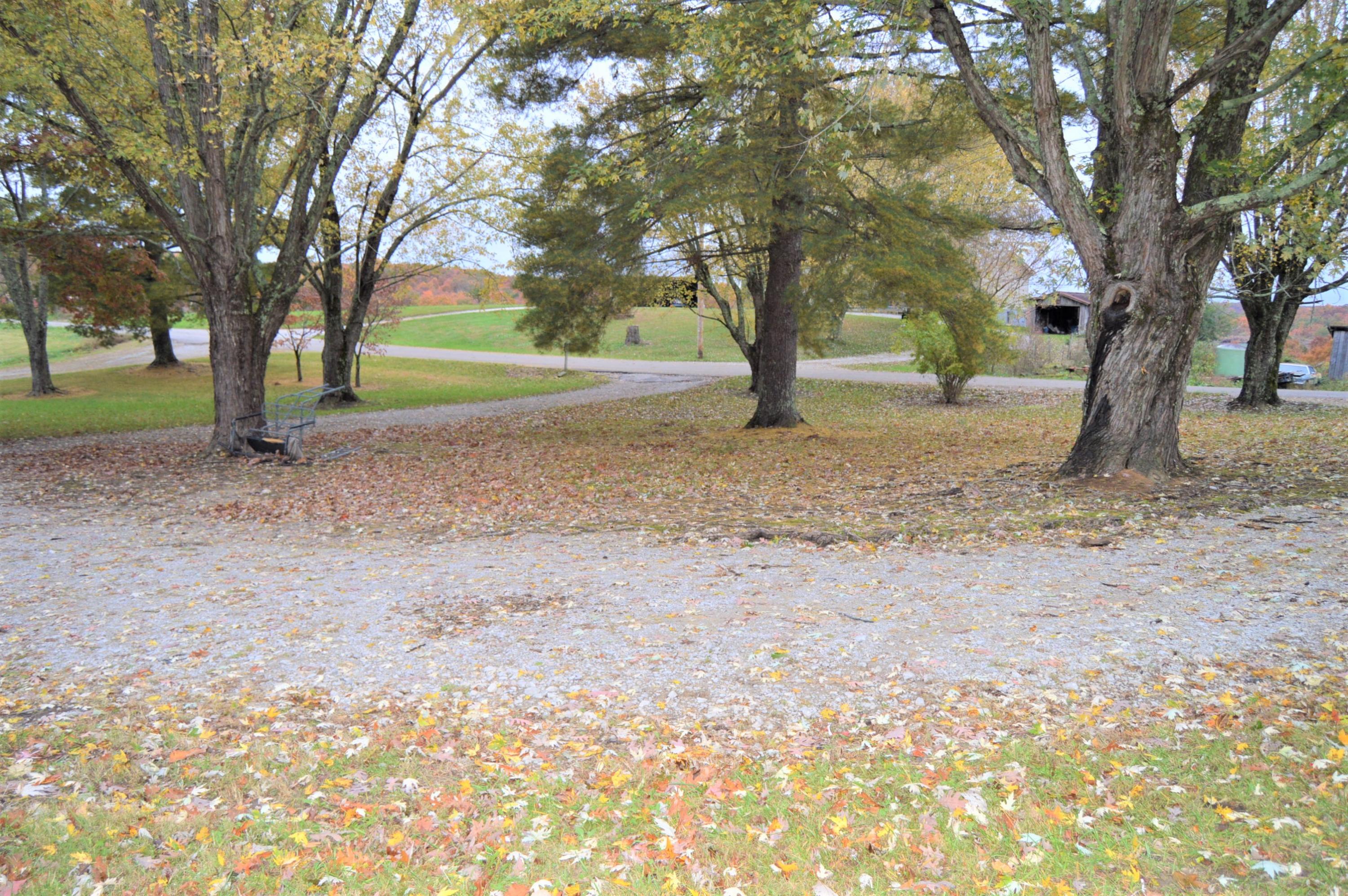 354 Billy Ridge Road Jamestown, TN 38556 - Photo 22 of 25 Billy Ridge Drive View 2