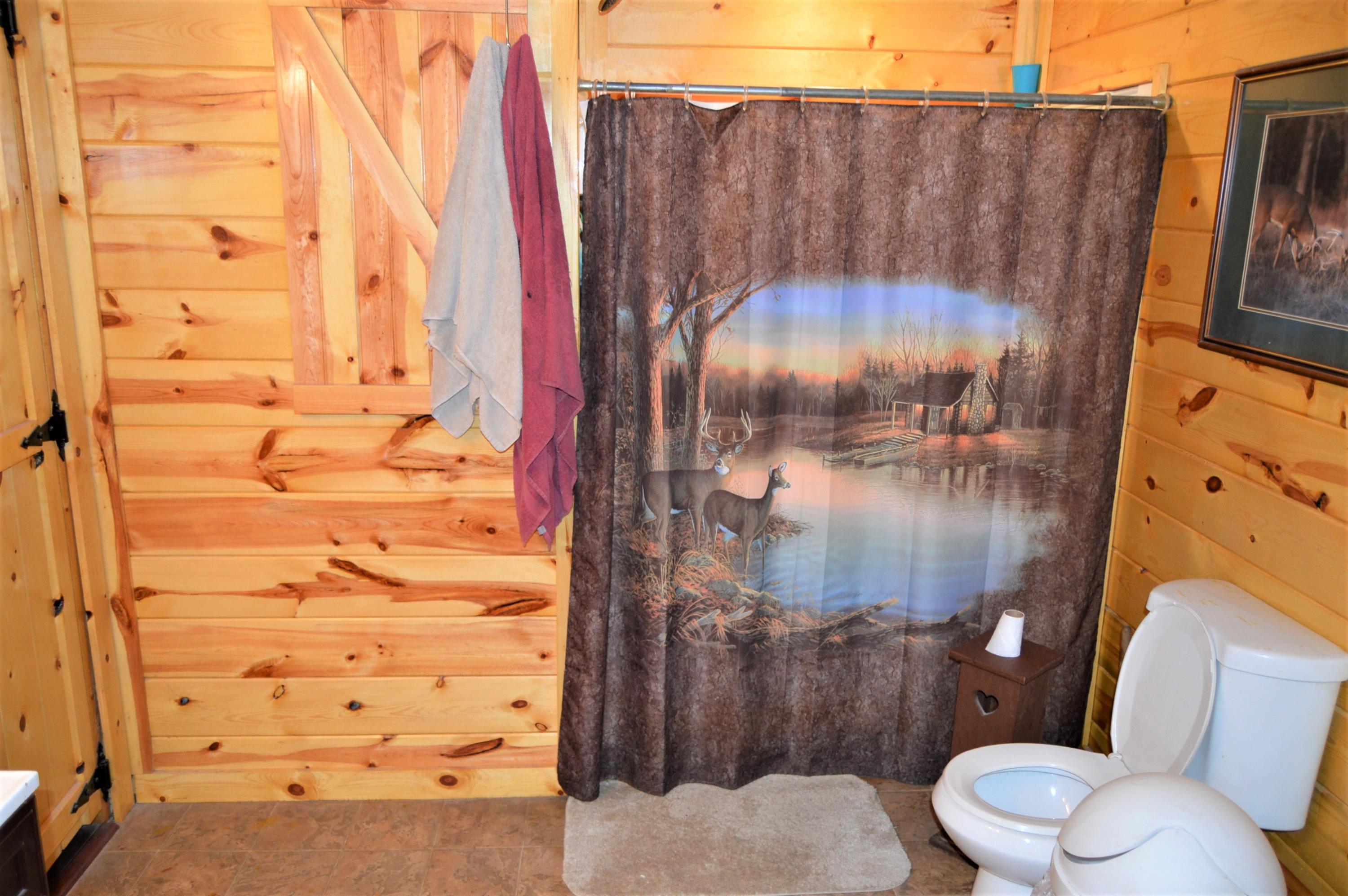 354 Billy Ridge Road Jamestown, TN 38556 - Photo 10 of 25 Billy Ridge Master Bath