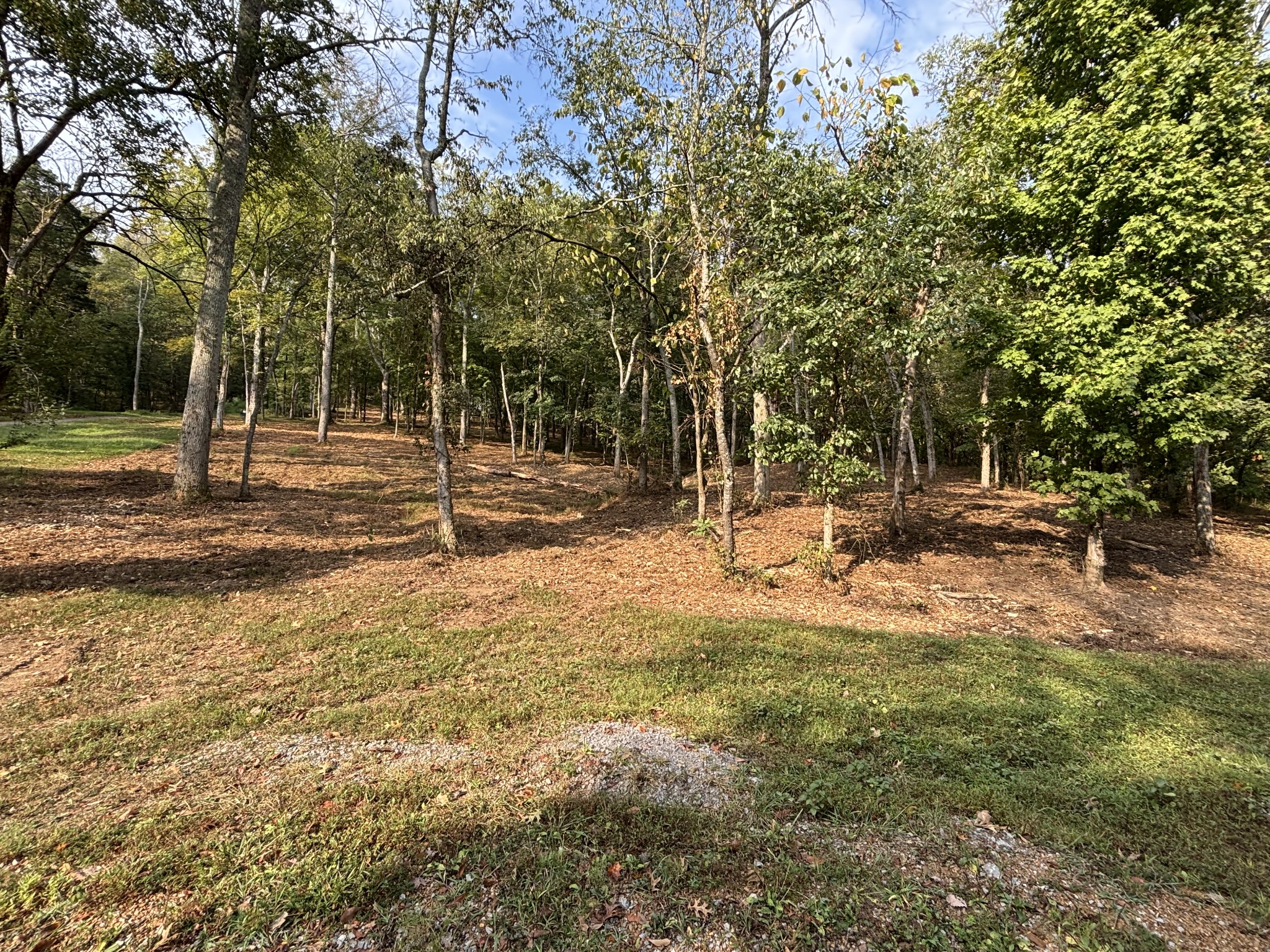 a backyard of a house with lots of green space