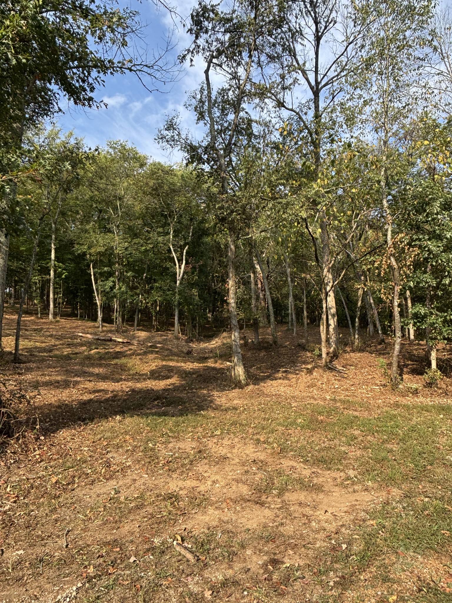 2183 Highway 25 Cottontown, TN 37048 - Photo 2 of 9 a backyard of a house with lots of green space