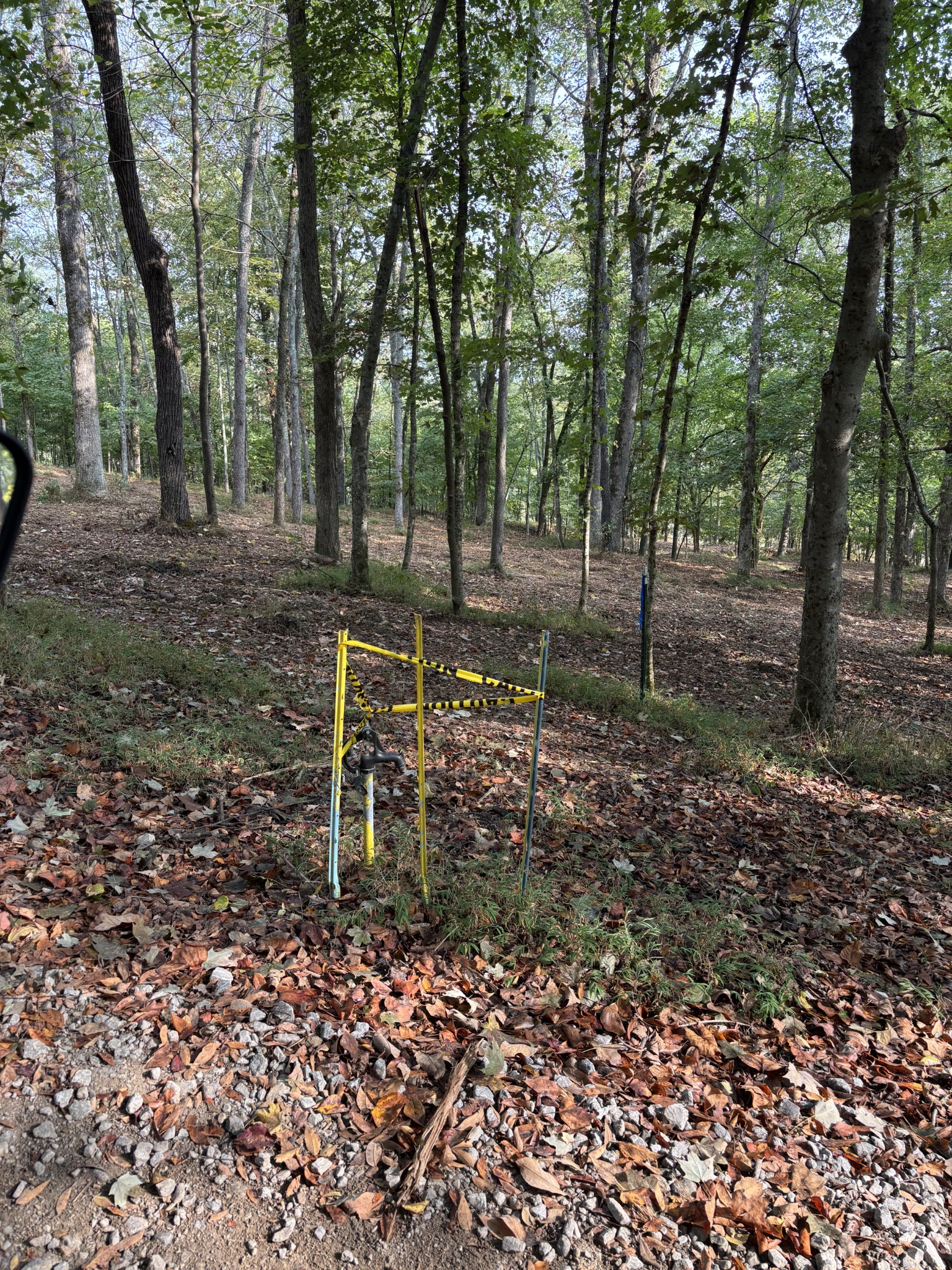 2183 Highway 25 Cottontown, TN 37048 - Photo 6 of 9 a backyard of a house with lots of green space