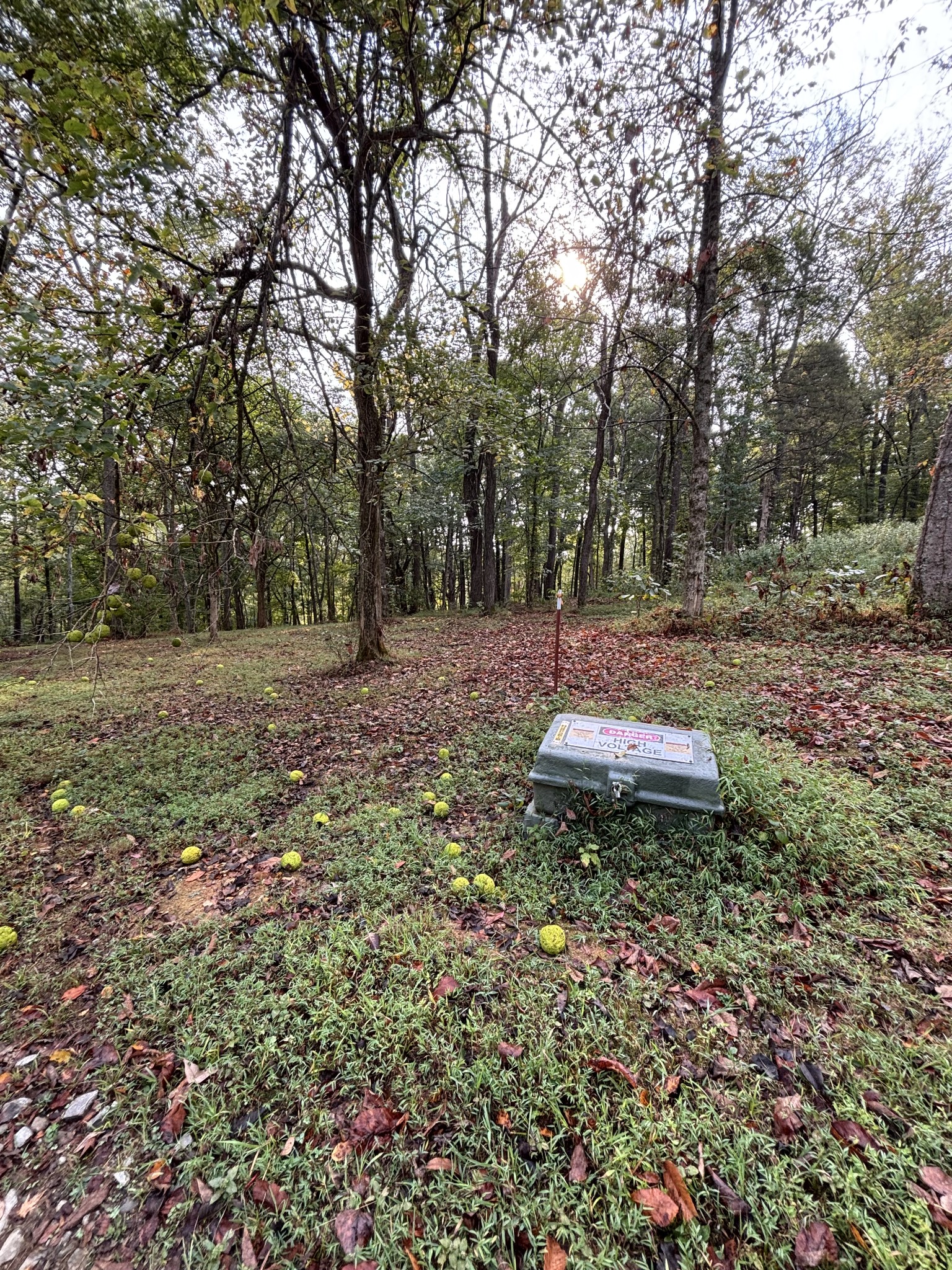 2183 Highway 25 Cottontown, TN 37048 - Photo 7 of 9 a view of a backyard with large trees