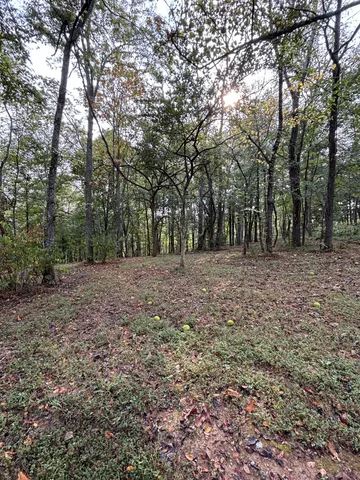 a view of empty room with large trees