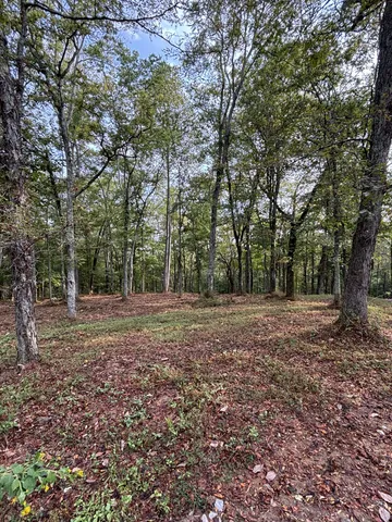 a view of outdoor space with trees