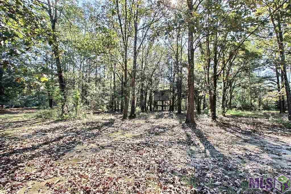 28302 George White Road Holden, LA 70744 - Photo 29 of 34 Gallery Image 29
