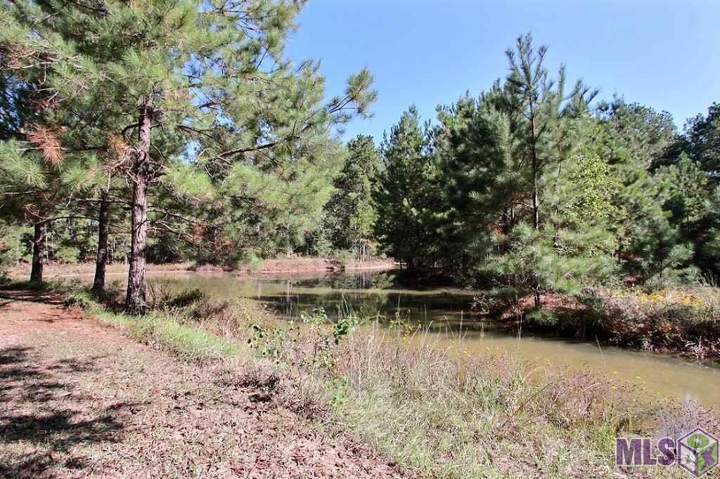28302 George White Road Holden, LA 70744 - Photo 32 of 34 Gallery Image 32