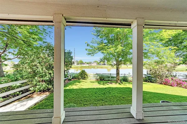 a view of a garden from a window