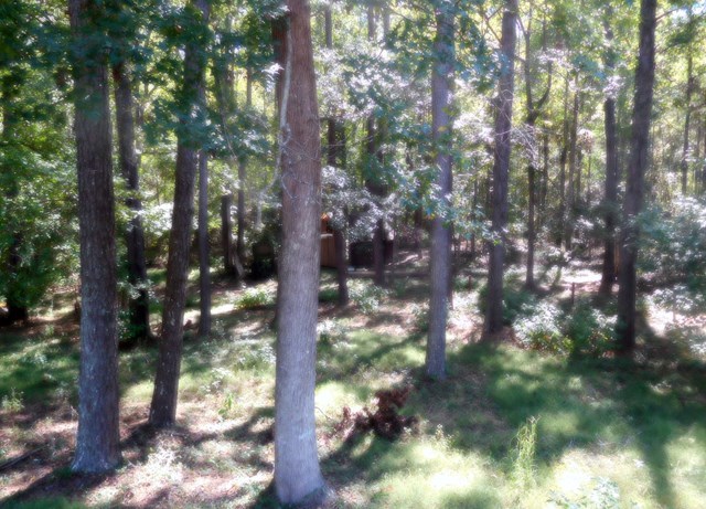 195 Barrystone Road Juliette, GA 31046 - Photo 22 of 25