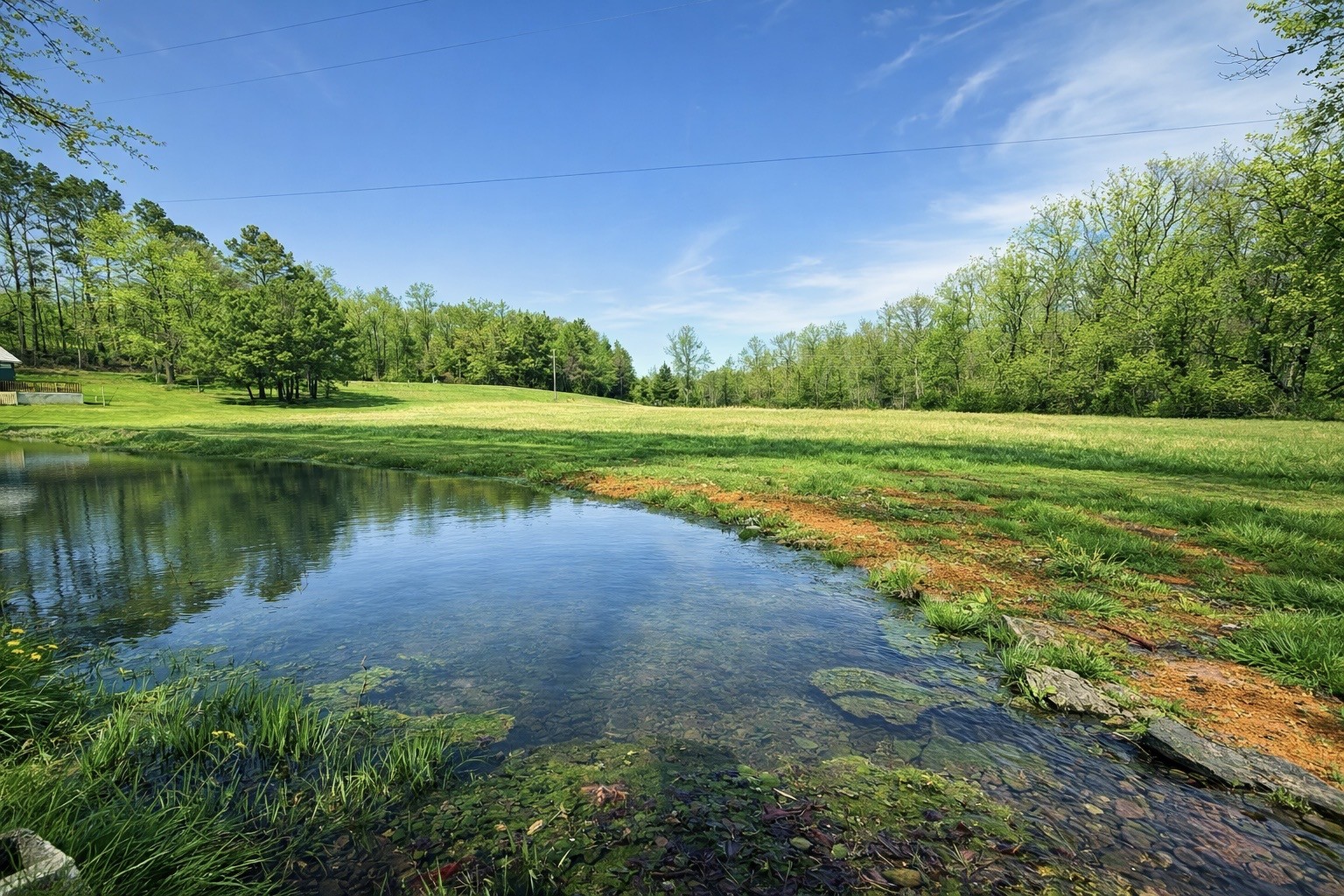 2705 Johnson Branch Road Leoma, TN 38468 - Photo 11 of 16 a view of a lake with a big yard