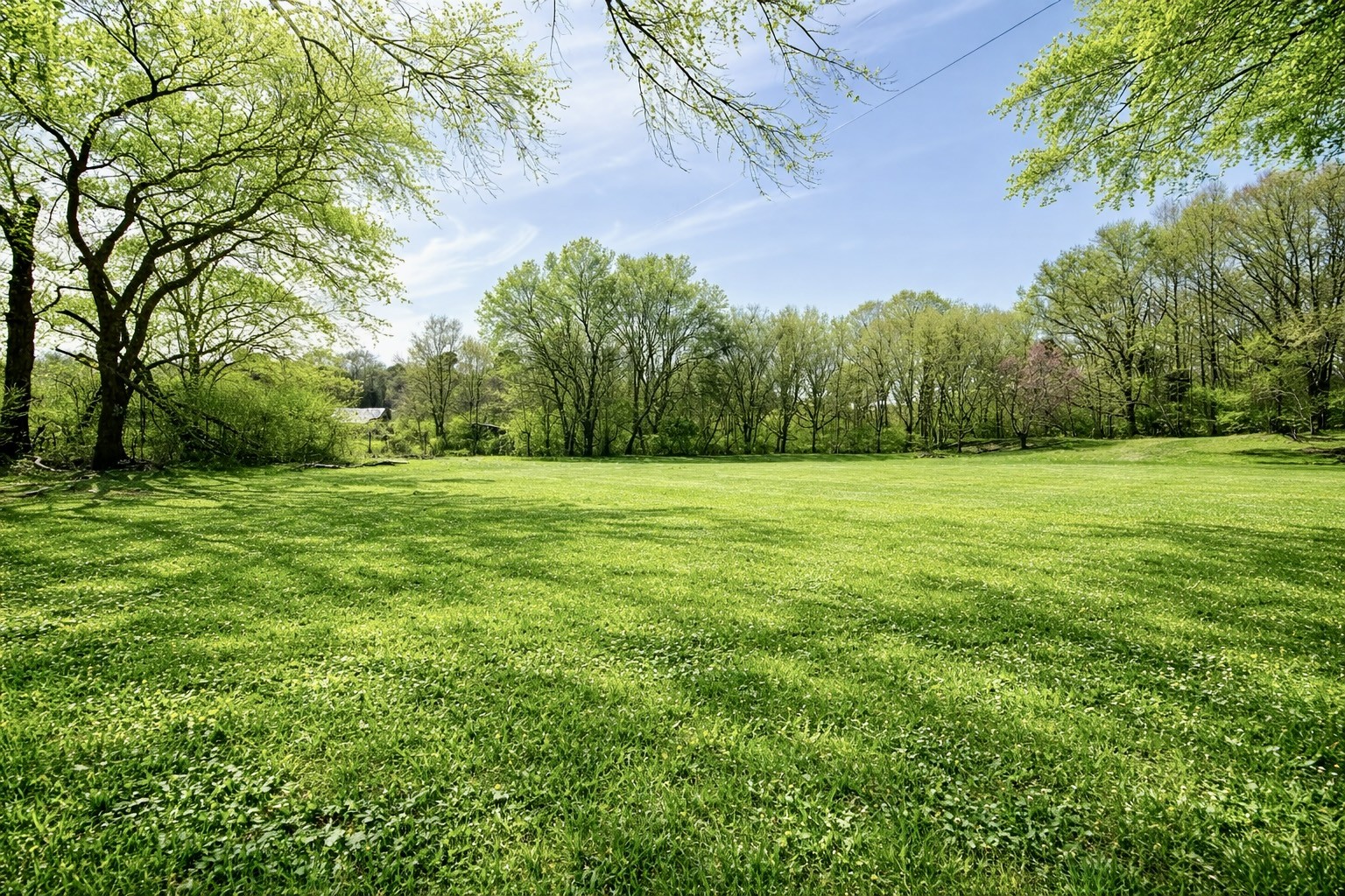 2705 Johnson Branch Road Leoma, TN 38468 - Photo 14 of 16 a backyard of a house with lots of green space