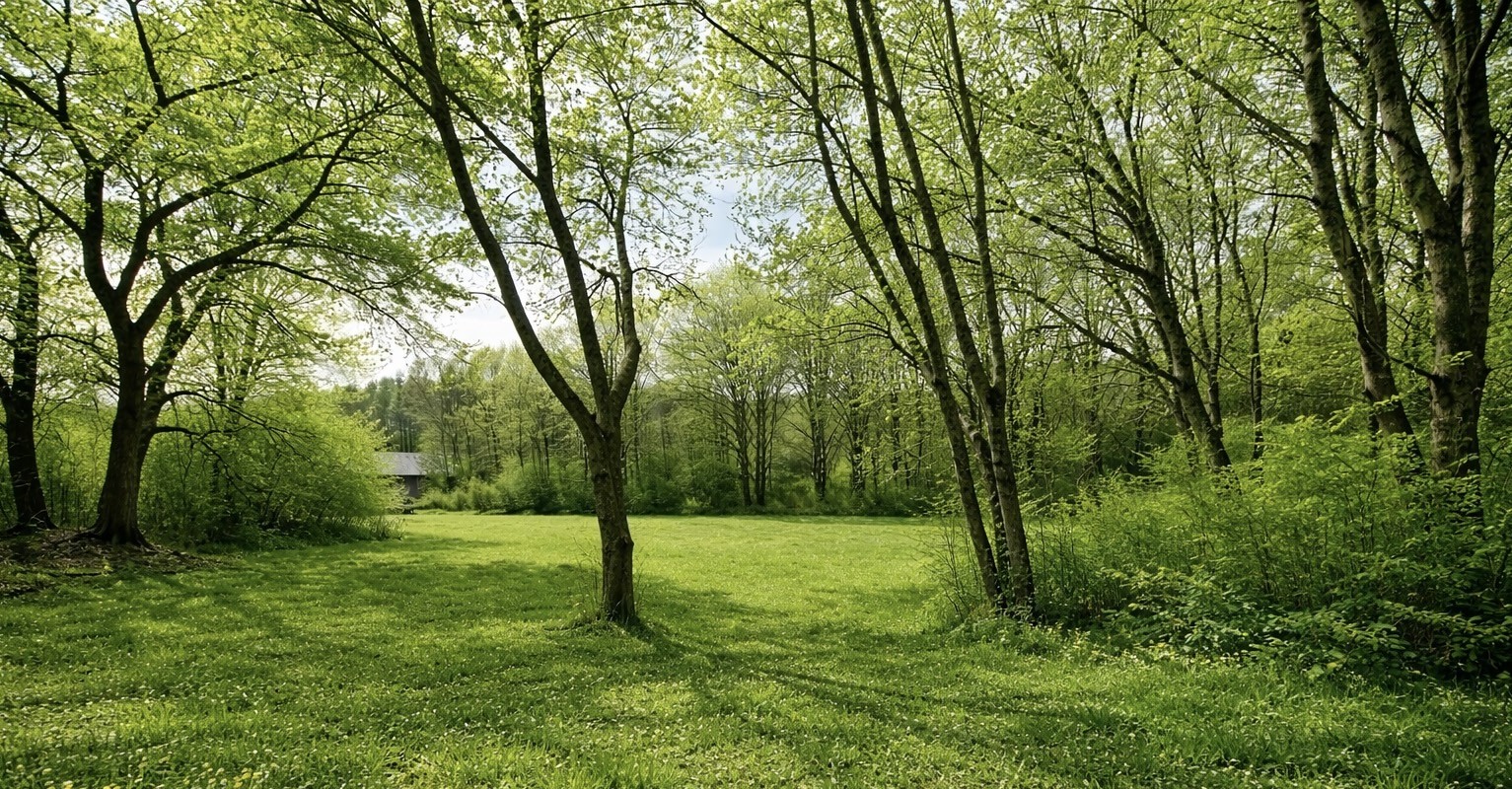 2705 Johnson Branch Road Leoma, TN 38468 - Photo 15 of 16 a view of a park with large trees