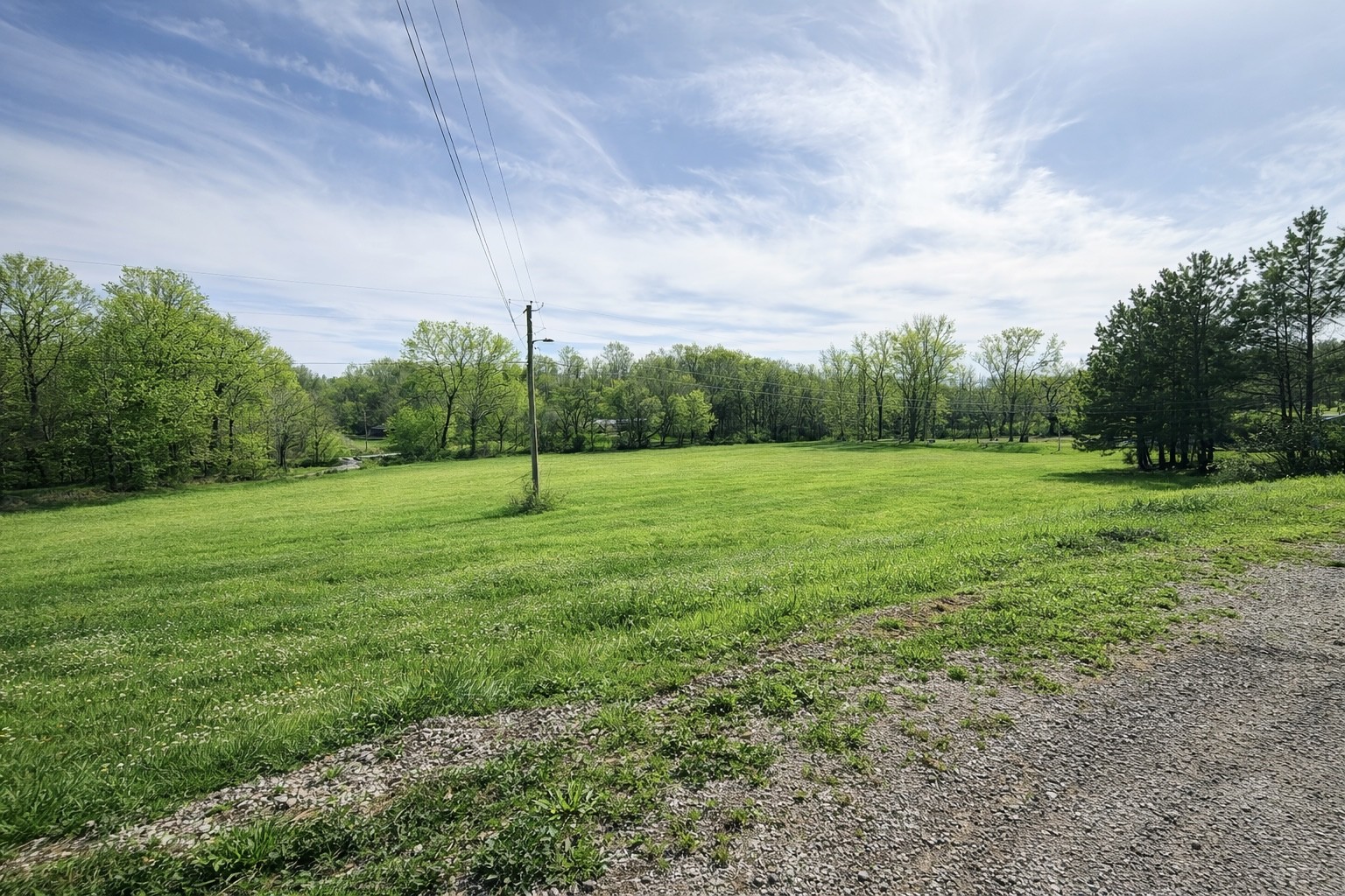 2705 Johnson Branch Road Leoma, TN 38468 - Photo 3 of 16 a view of a grassy field with trees in the background