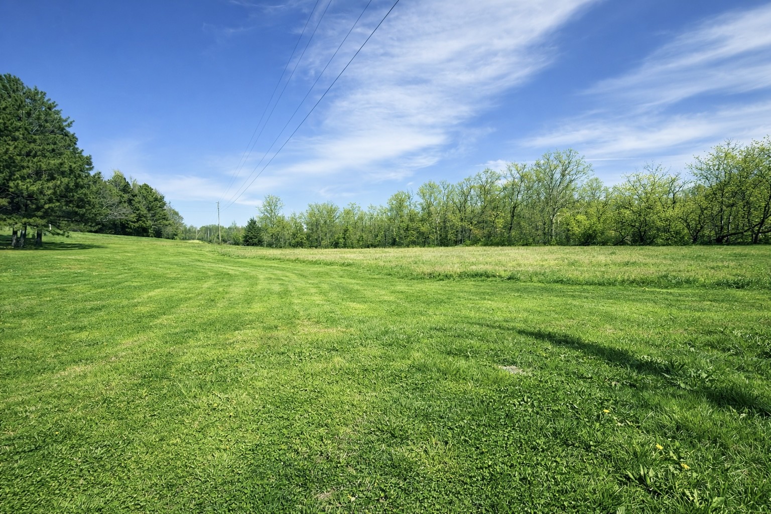 2705 Johnson Branch Road Leoma, TN 38468 - Photo 10 of 16 a view of a grassy field with trees