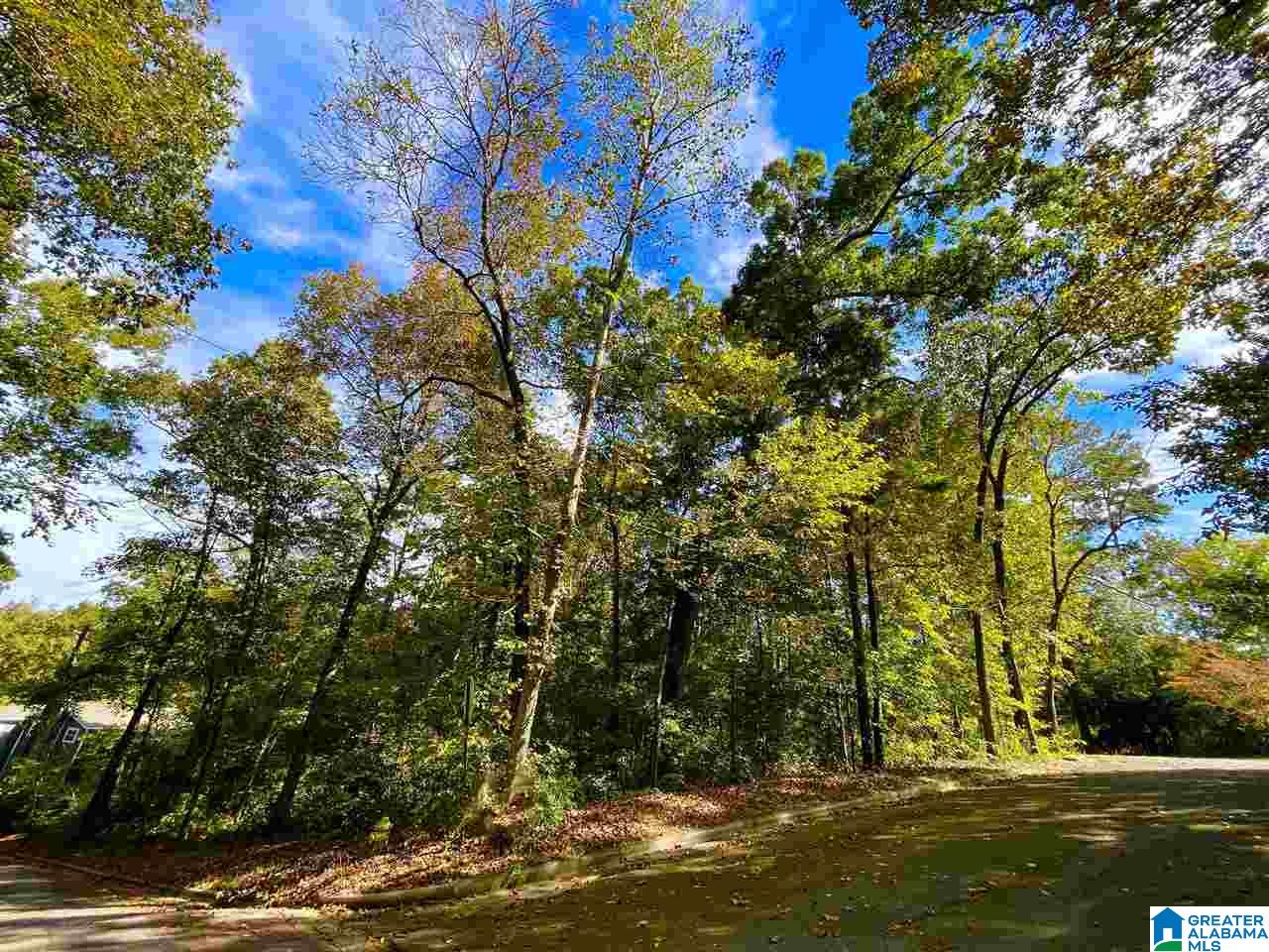 0 Shady Lane Cullman, AL 35055 - Photo 3 of 6