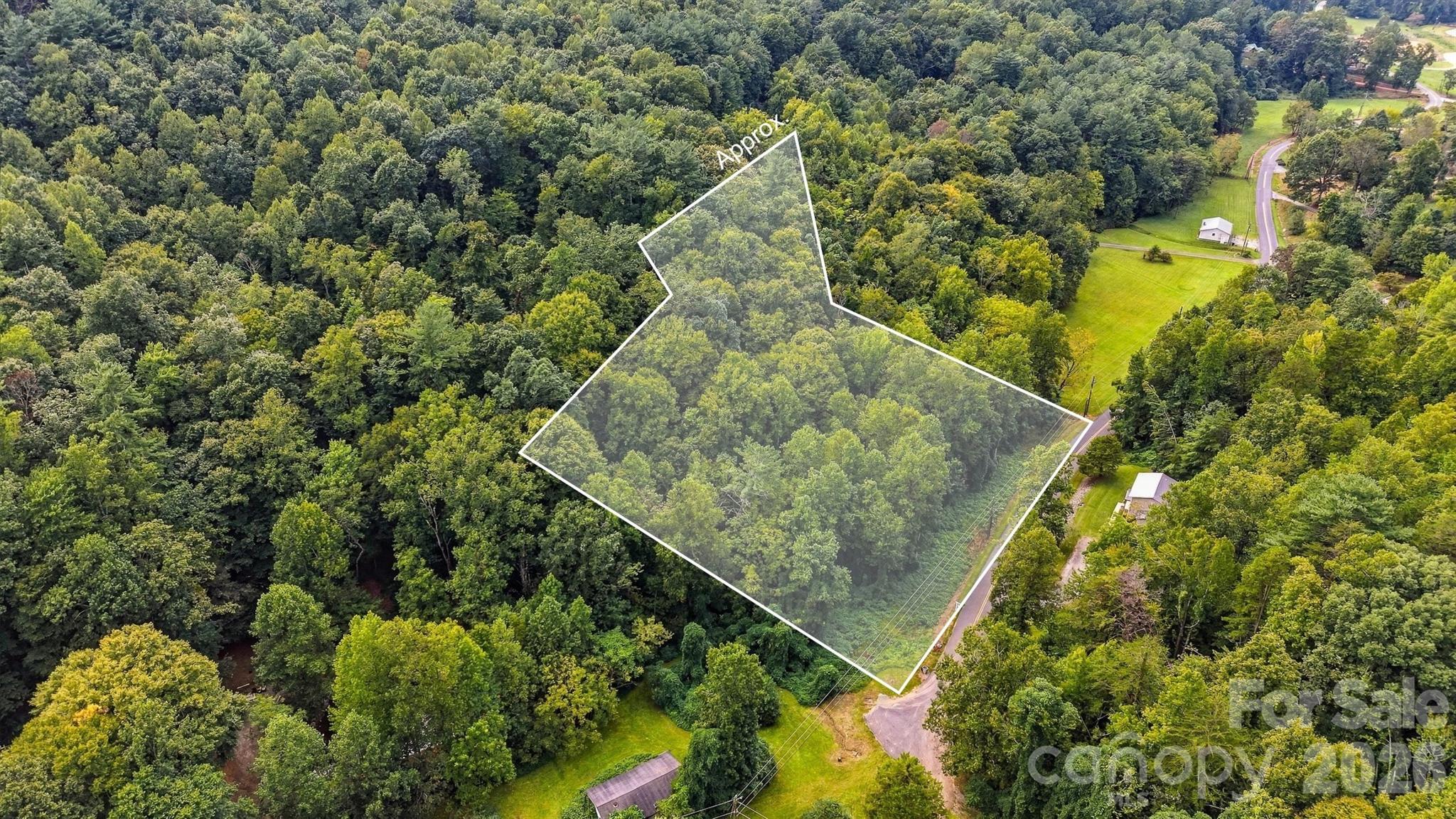 Tbd Haigler Road Lenoir, NC 28645 - Photo 2 of 11 Gallery Image 2