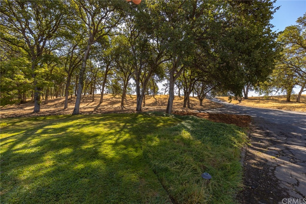 3594 Keefer Road Chico, CA 95973 - Photo 18 of 63 Gallery Image 18