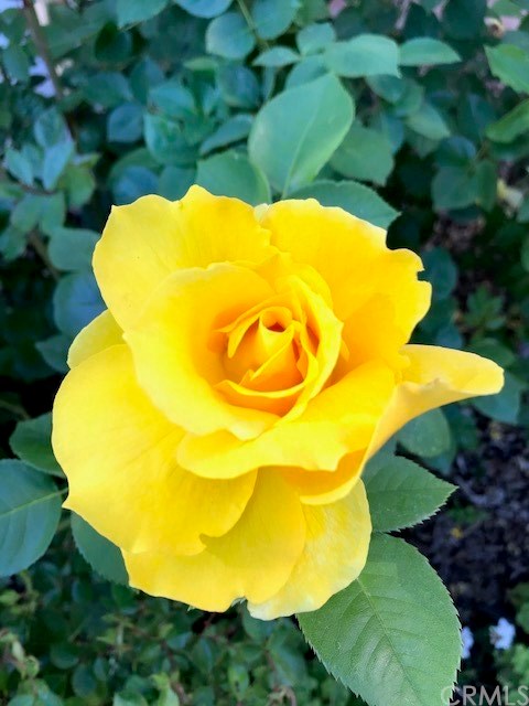 3594 Keefer Road Chico, CA 95973 - Photo 45 of 63 Gallery Image 45