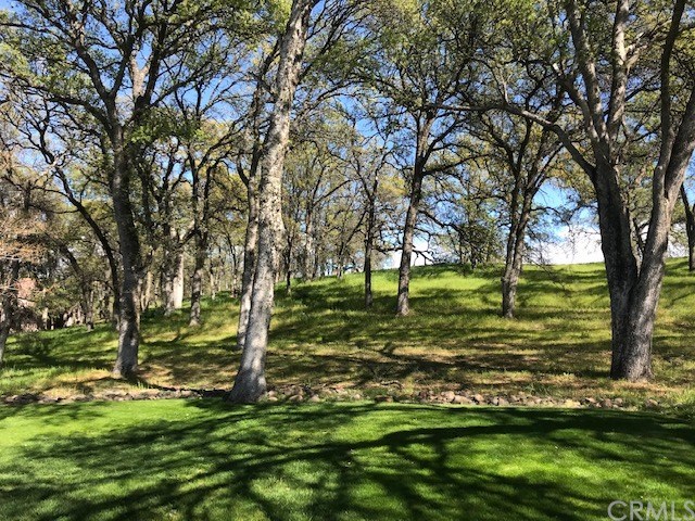 3594 Keefer Road Chico, CA 95973 - Photo 59 of 63 Gallery Image 59