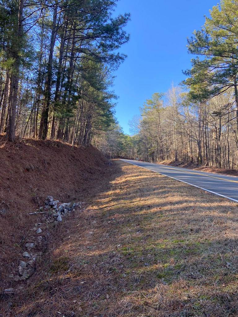 0 Kings Gap Road Pine Mountain, GA 31822 - Photo 12 of 19 Gallery Image 12