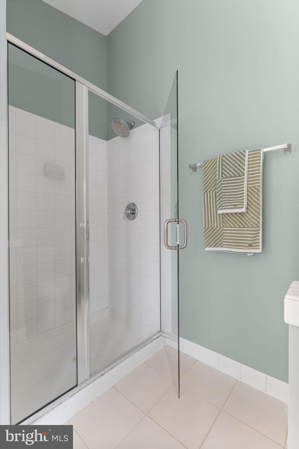 7366 Stream Bluff Way Springfield, VA 22153 - Photo 22 of 46 Walk in shower