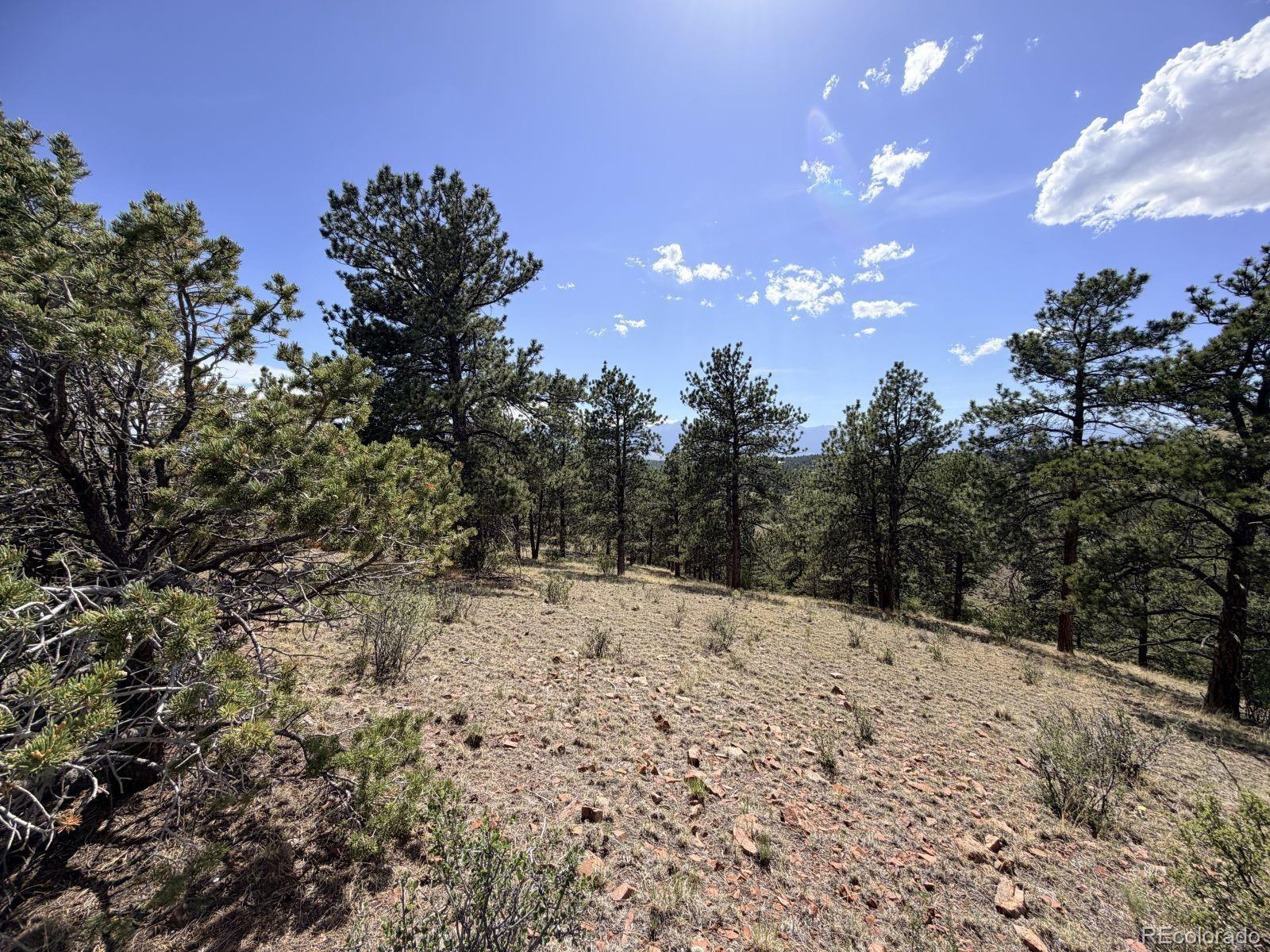 0 Schulze Ranch Road Westcliffe, CO 81252 - Photo 15 of 33