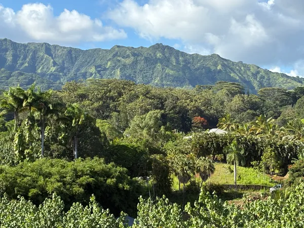 $1,000,000 | 6631 A Kipapa Road, Kapaa, HI 96746