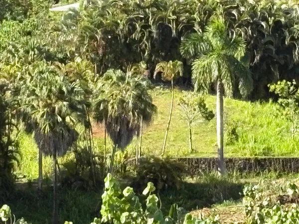 $1,000,000 | 6631 A Kipapa Road, Kapaa, HI 96746