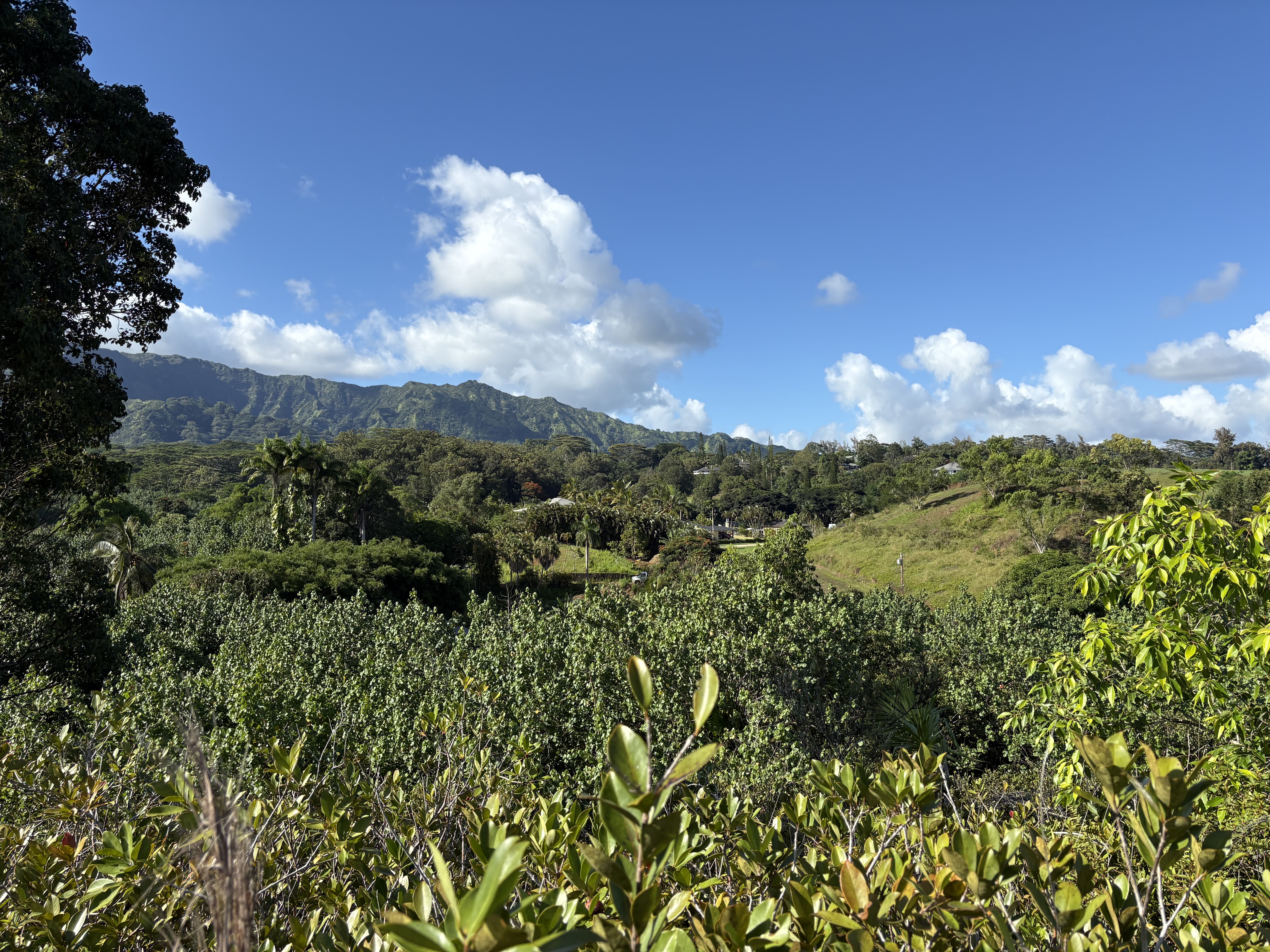 6631 A Kipapa Road Kapaa, HI 96746 - Photo 4 of 17