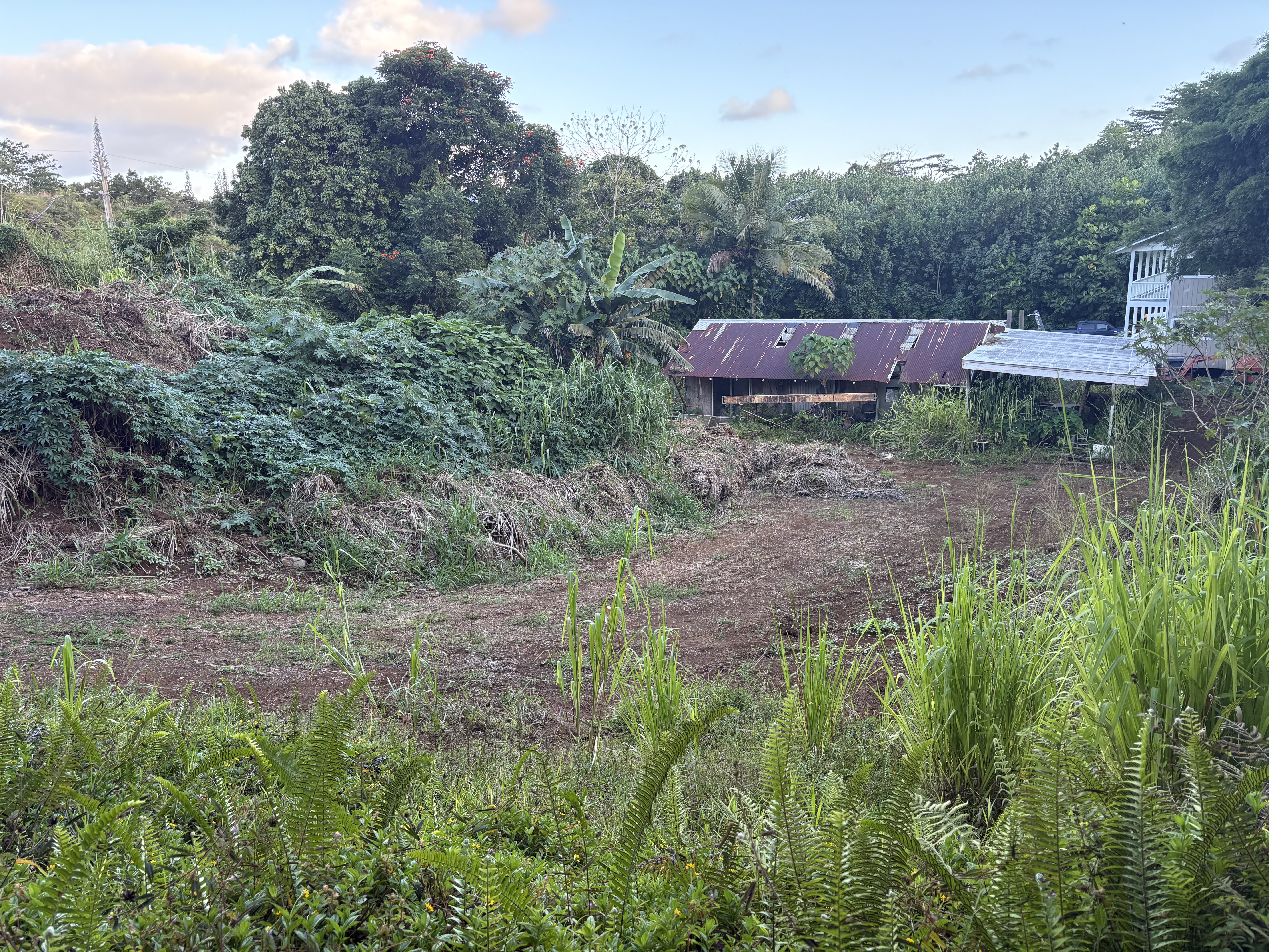 6631 A Kipapa Road Kapaa, HI 96746 - Photo 6 of 17