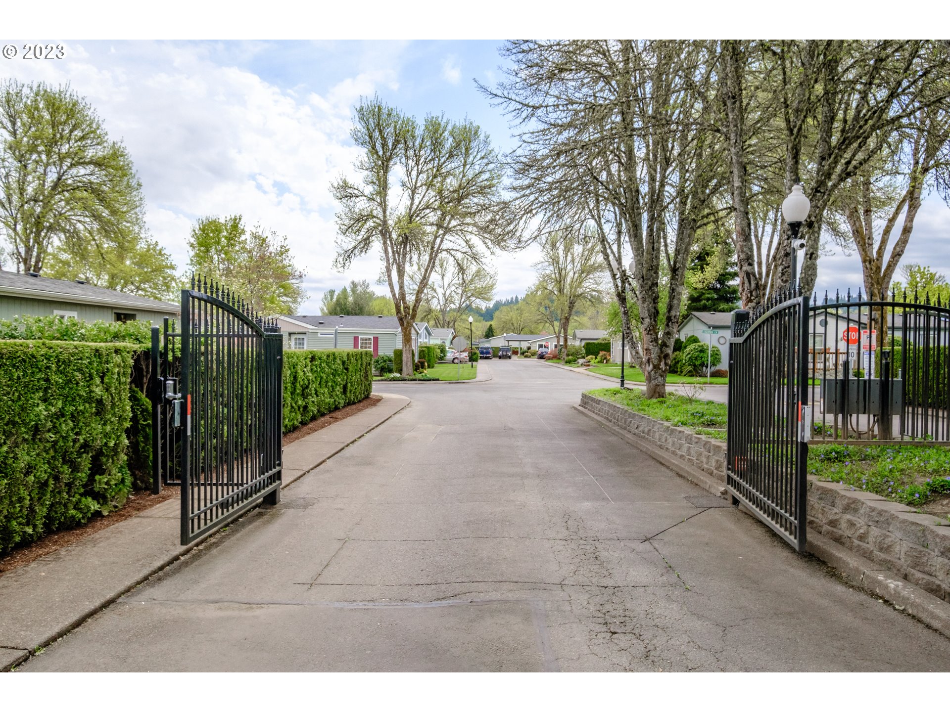 1401 West Ellendale Avenue, Unit 80 Dallas, OR 97338 - Photo 46 of 48 a view of a street with a large trees