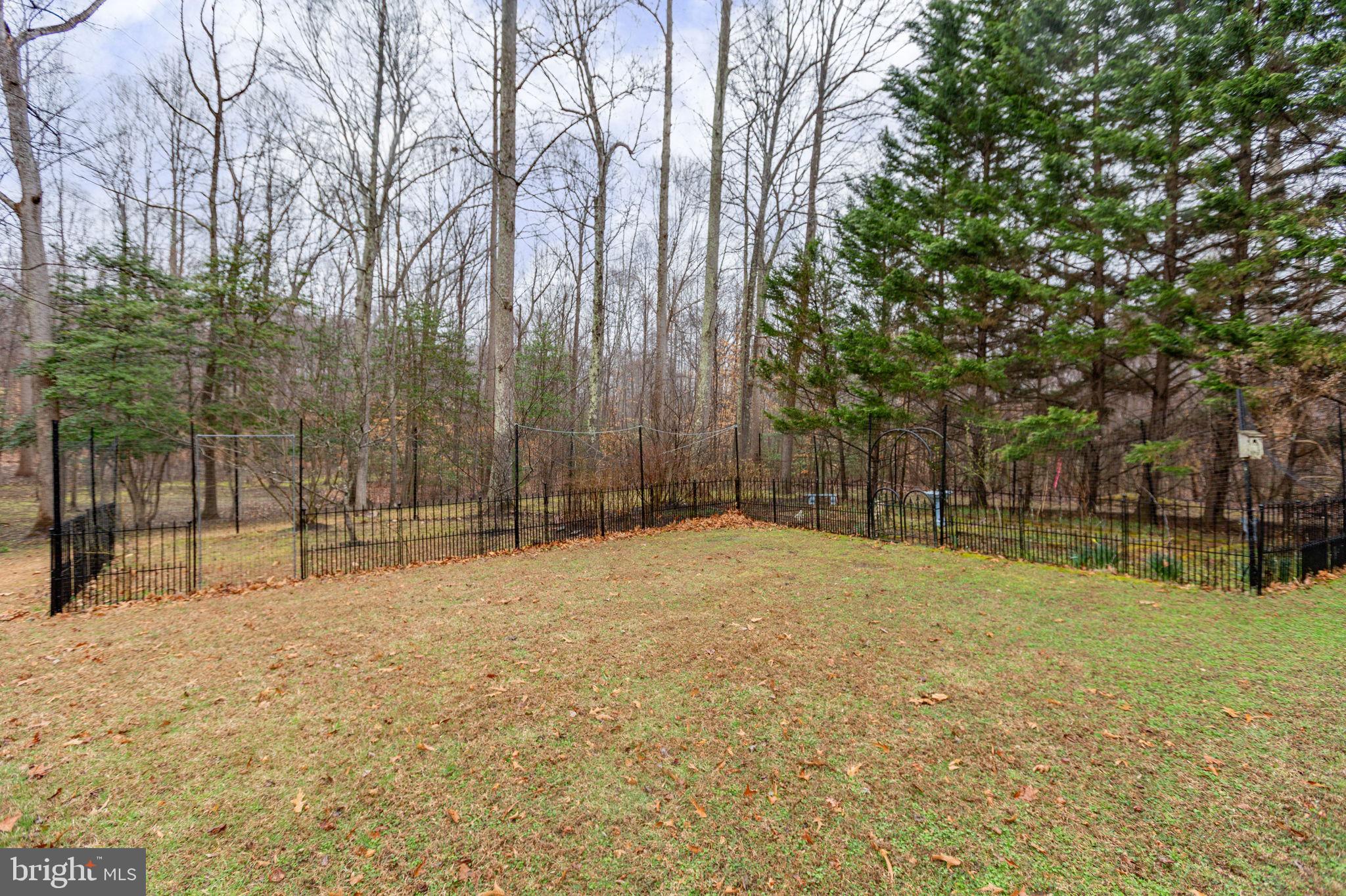 10721 Colbys Lane King George, VA 22485 - Photo 41 of 50 a house with trees in front of it