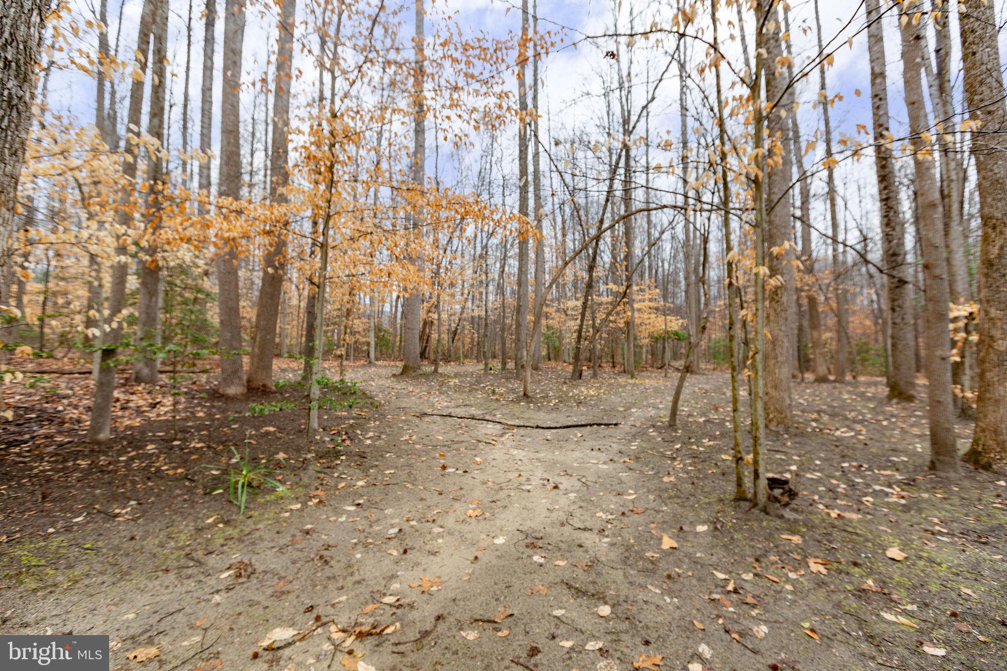 10721 Colbys Lane King George, VA 22485 - Photo 44 of 50 a view of a backyard with large trees