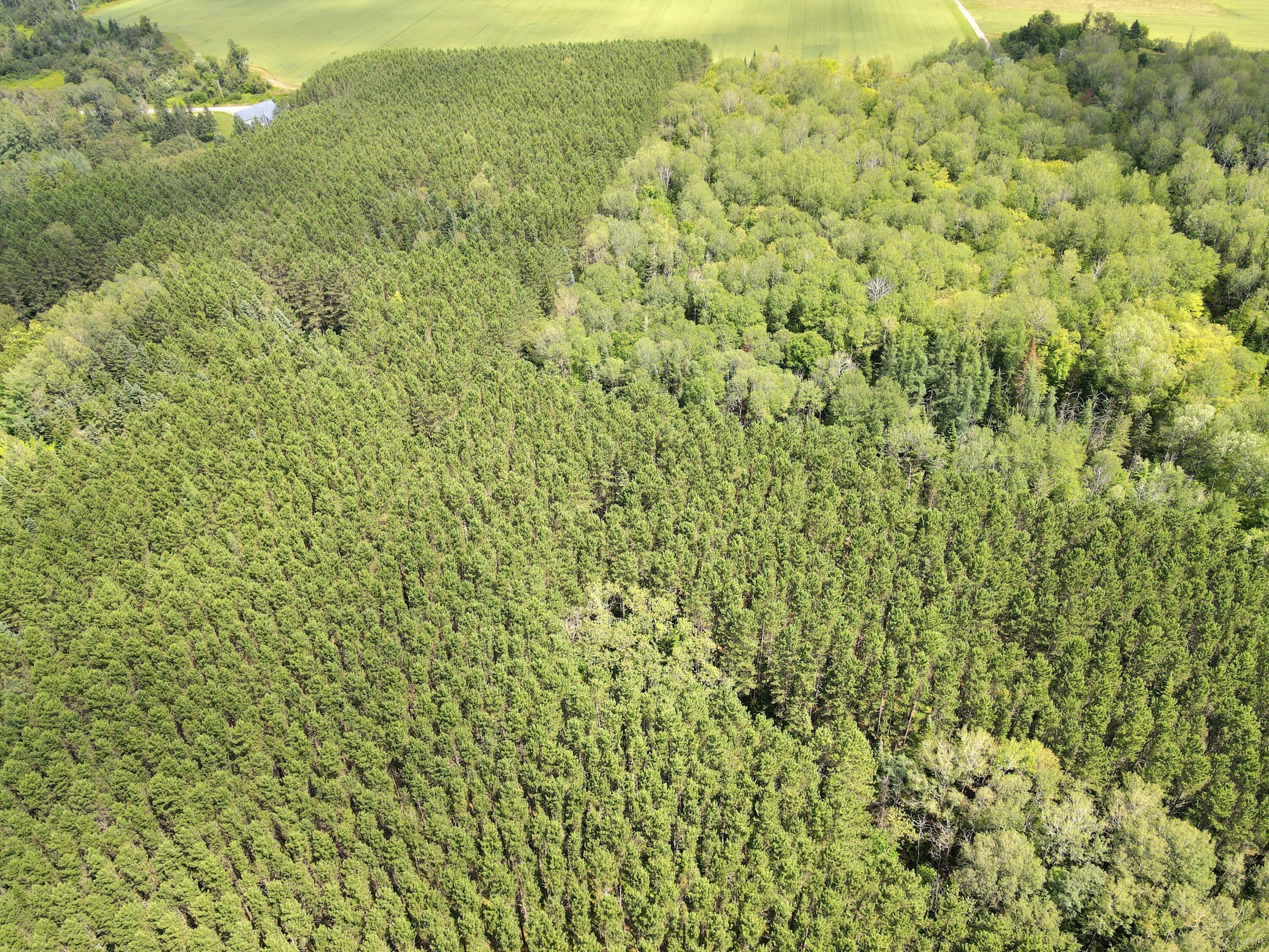 Lot 55-56 West Gate Road Caribou, ME 04736 - Photo 6 of 8 dji_fly_20230802_133144_999_169099915751