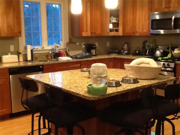 77 Orchardhill Road, Unit 1 Boston, MA 02130 - Photo 3 of 6