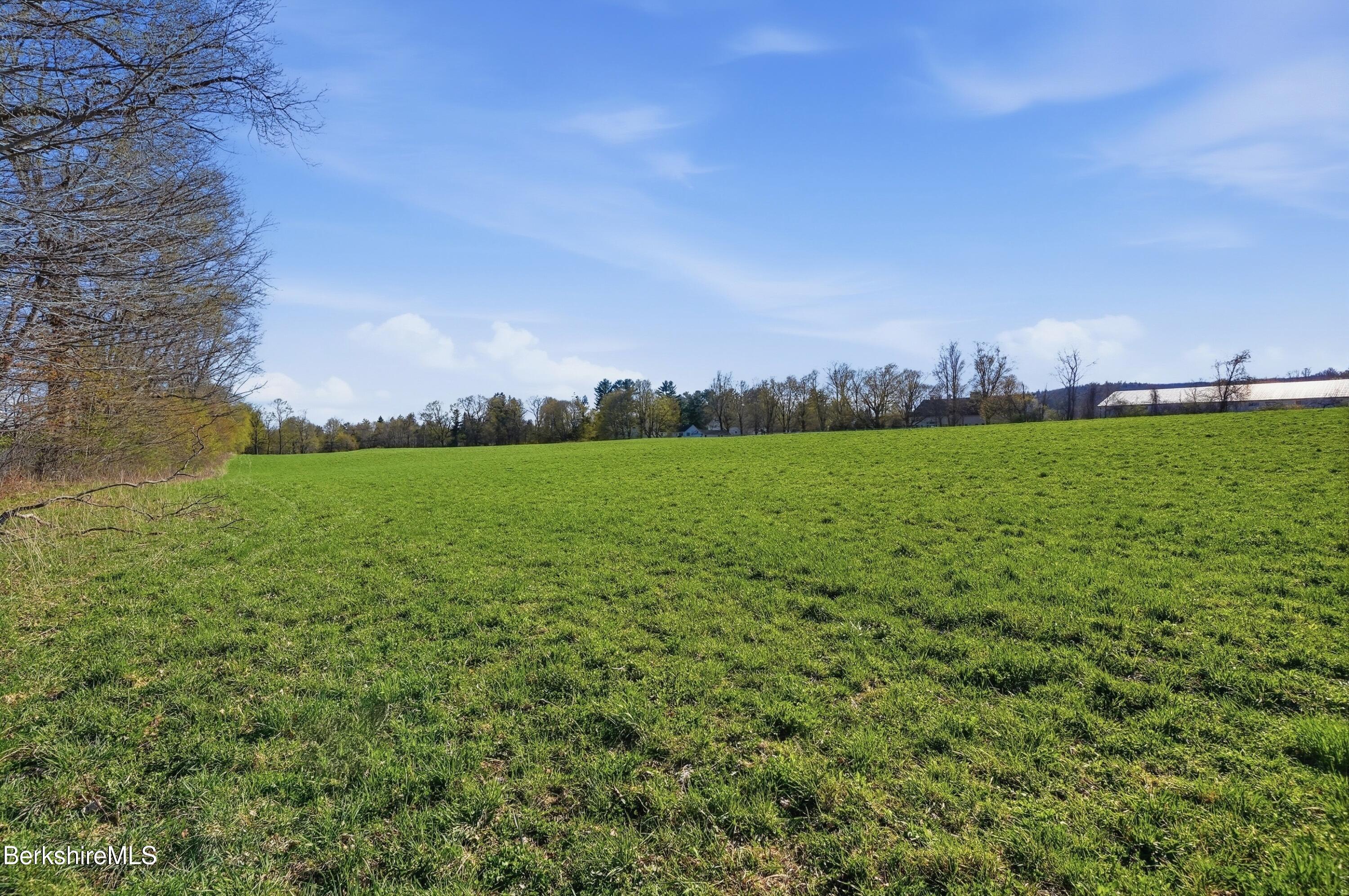 752 State Road Richmond, MA 01254 - Photo 60 of 71 18 Acre pasture