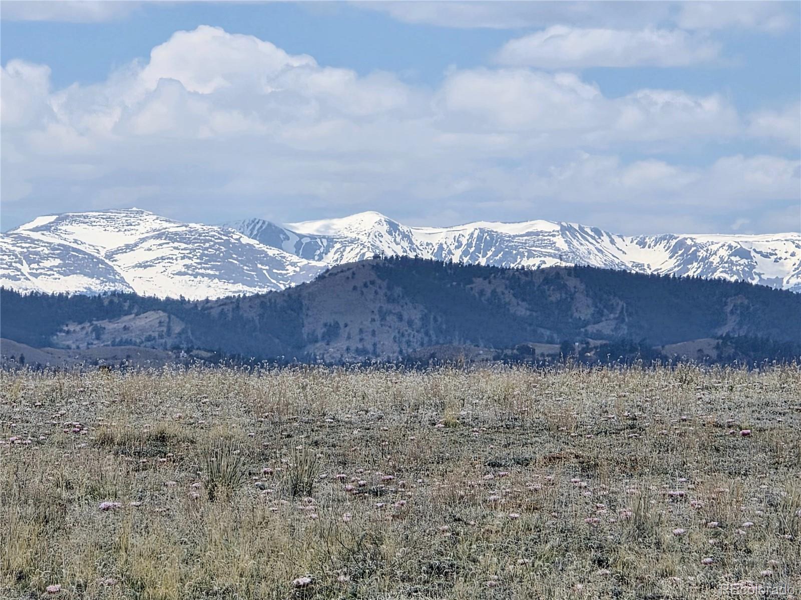 1127 Imboden Road Lake George, CO 80827 - Photo 1 of 23 Gallery Image 1